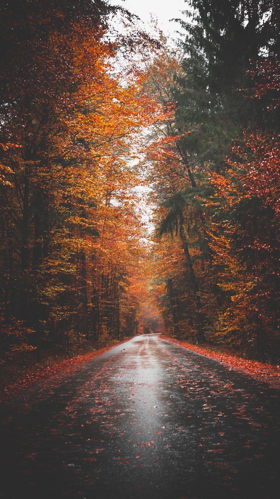 Autumn road. iPhone wallpaper photography, Photography wallpaper, Nature photography