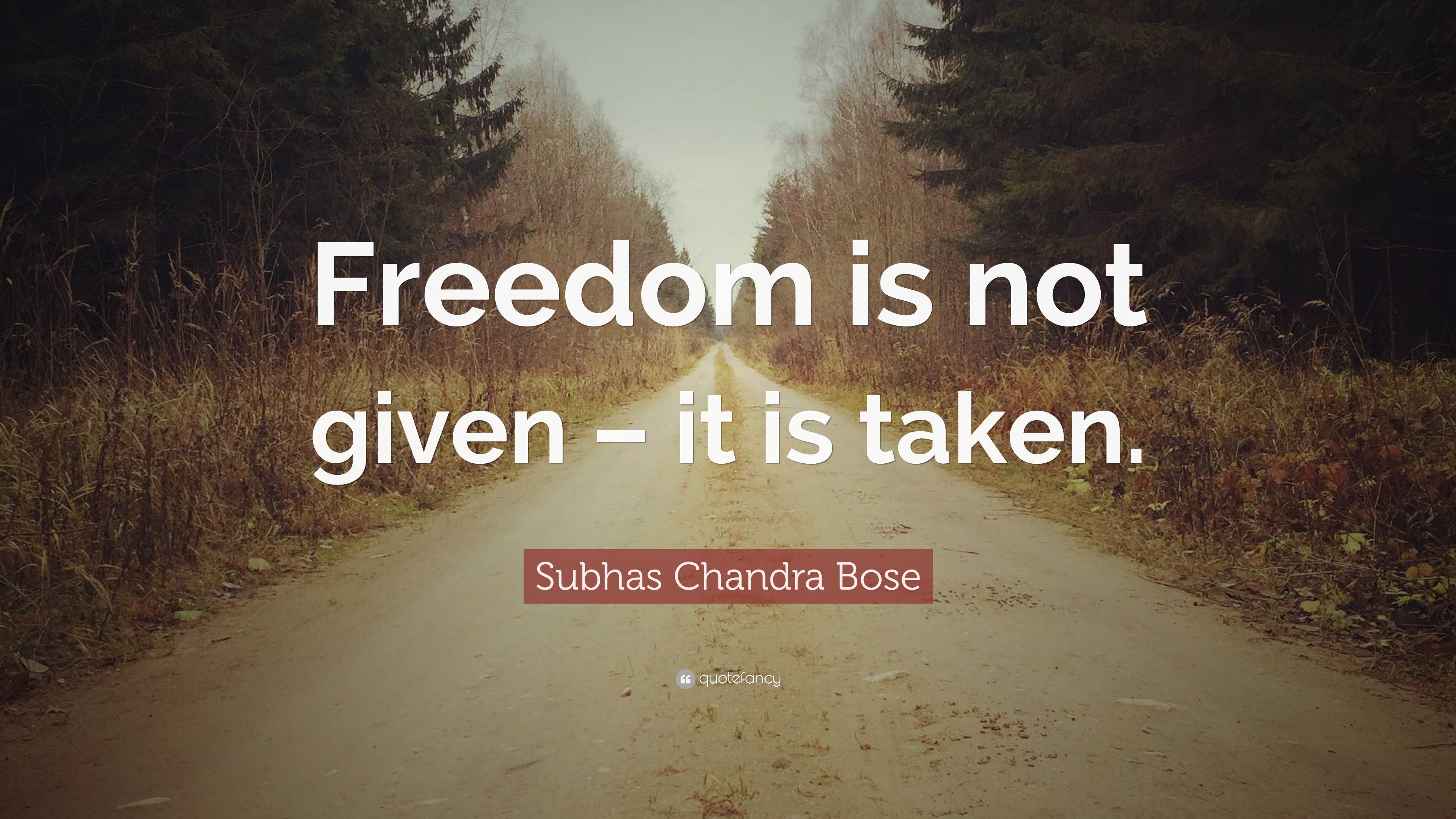 Subhas Chandra Bose Quotes (11 wallpaper)