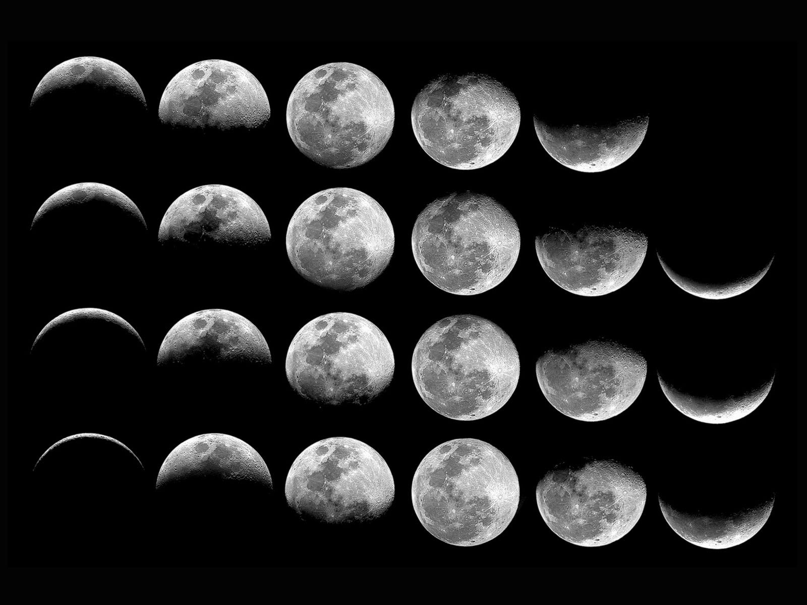 wallpaper: Moon Phases