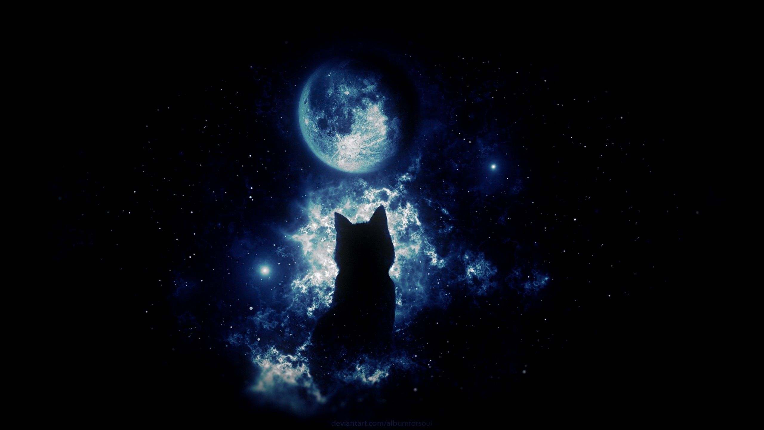 Anime cat staring at the moon HD Wallpaper Youtube Cover Photo