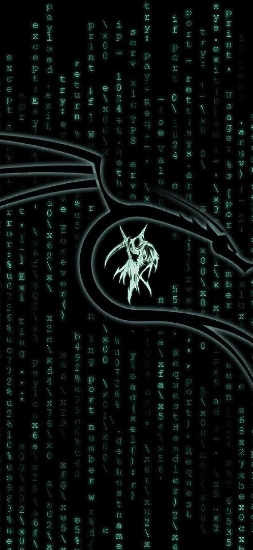 Kali Linux Matrix 1080x2340 Resolution Wallpaper, HD Hi