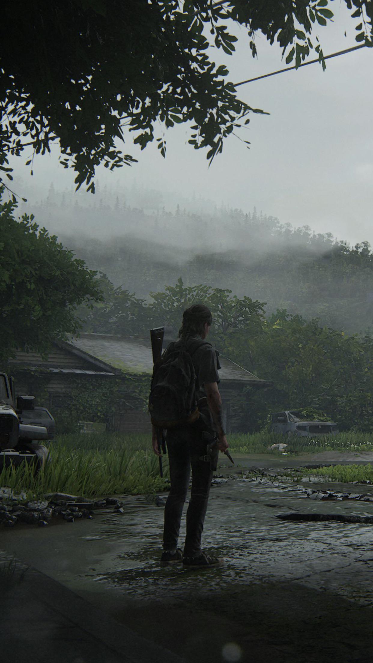 Abby Tlou2, ps4, the last of us, the last of us part 2, HD phone wallpaper