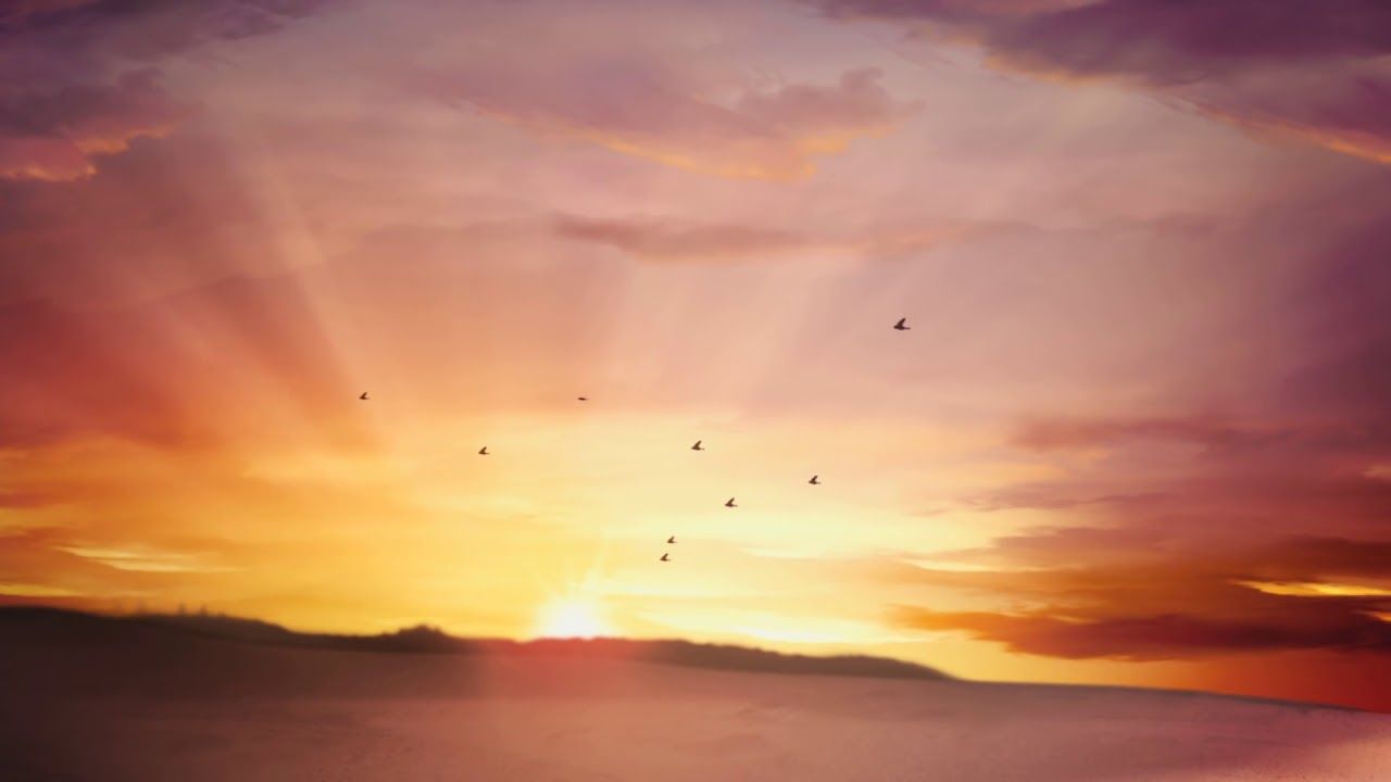 Sunrise, moving clouds and flying birds Background Loop HD
