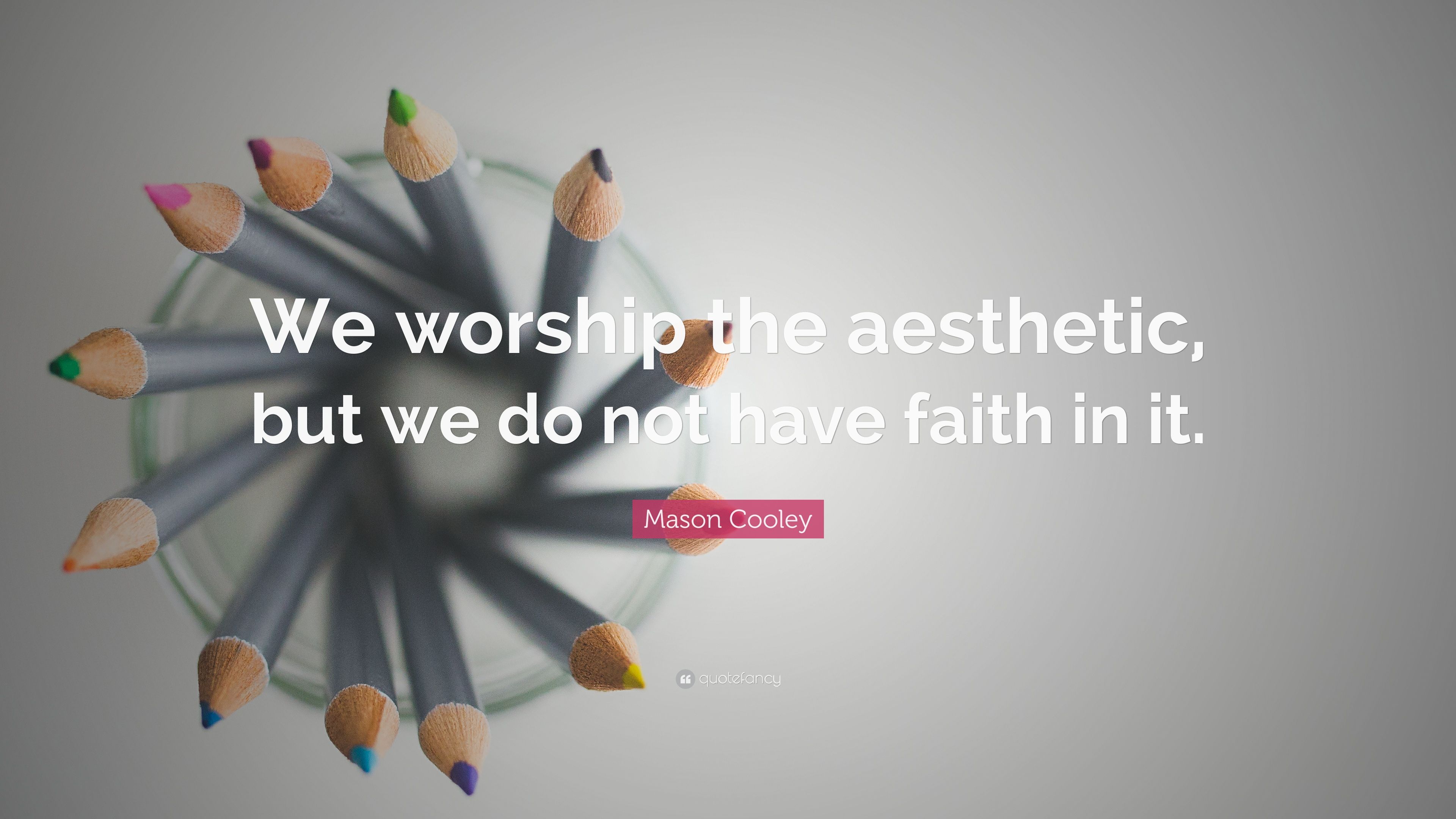 Mason Cooley Quote: “We worship the aesthetic, but we do not have