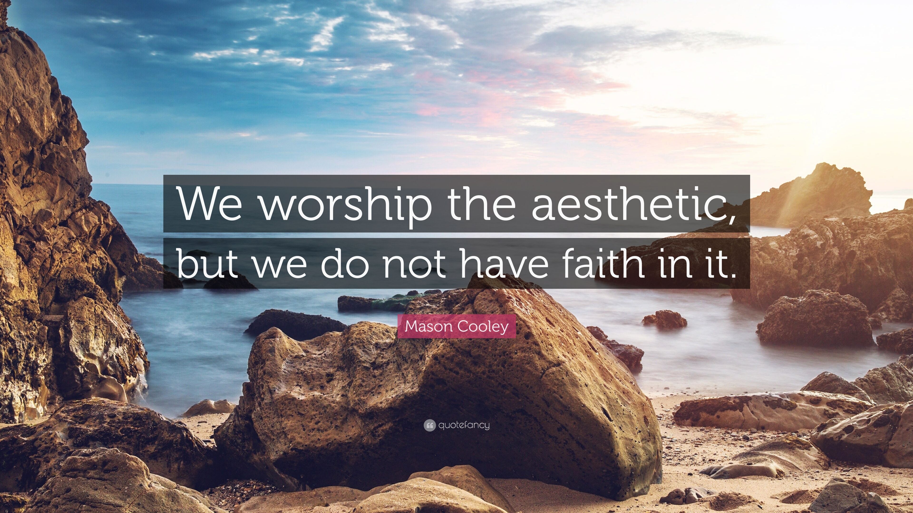 Mason Cooley Quote: “We worship the aesthetic, but we do not have