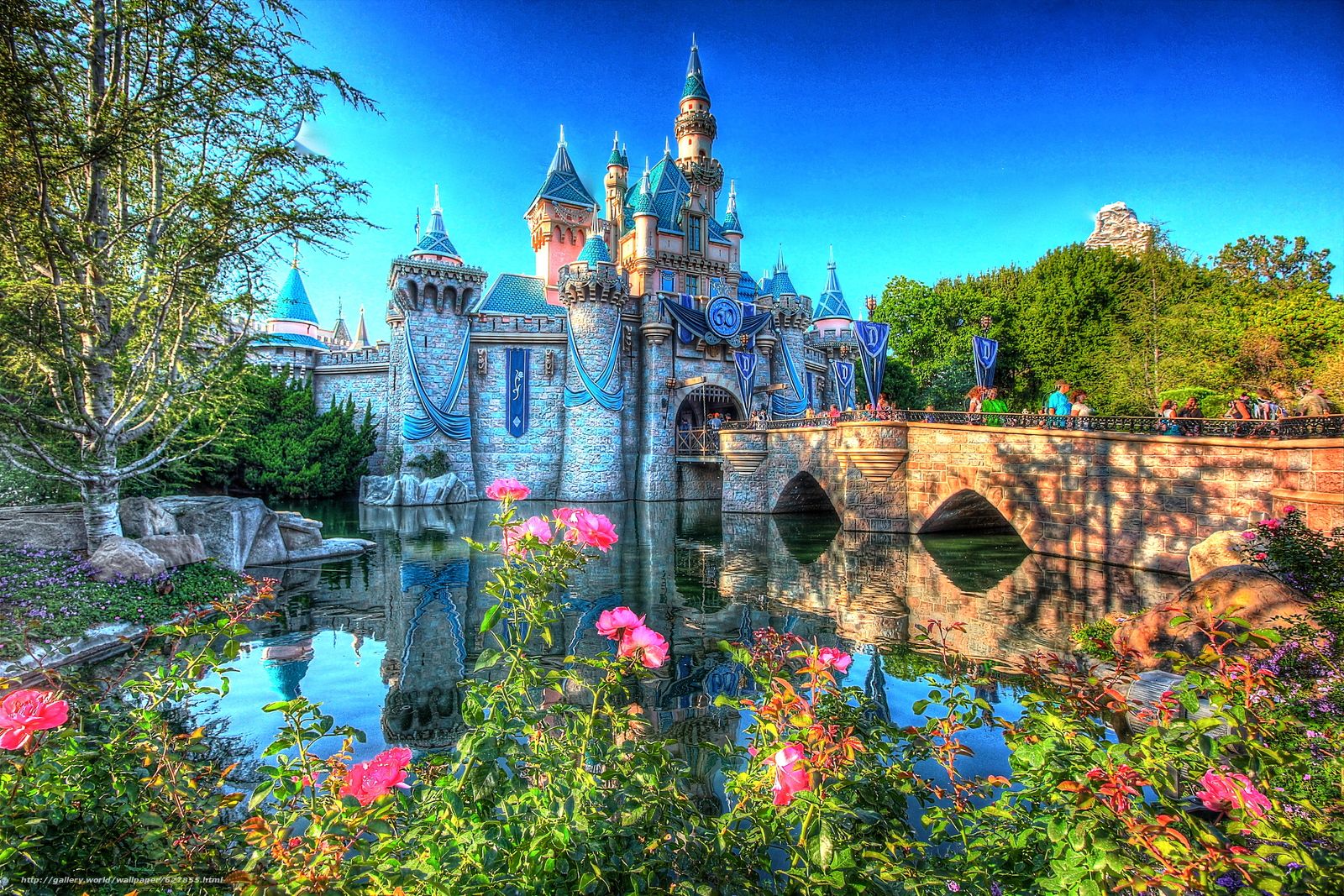 Disneyland Wallpaper. Disneyland
