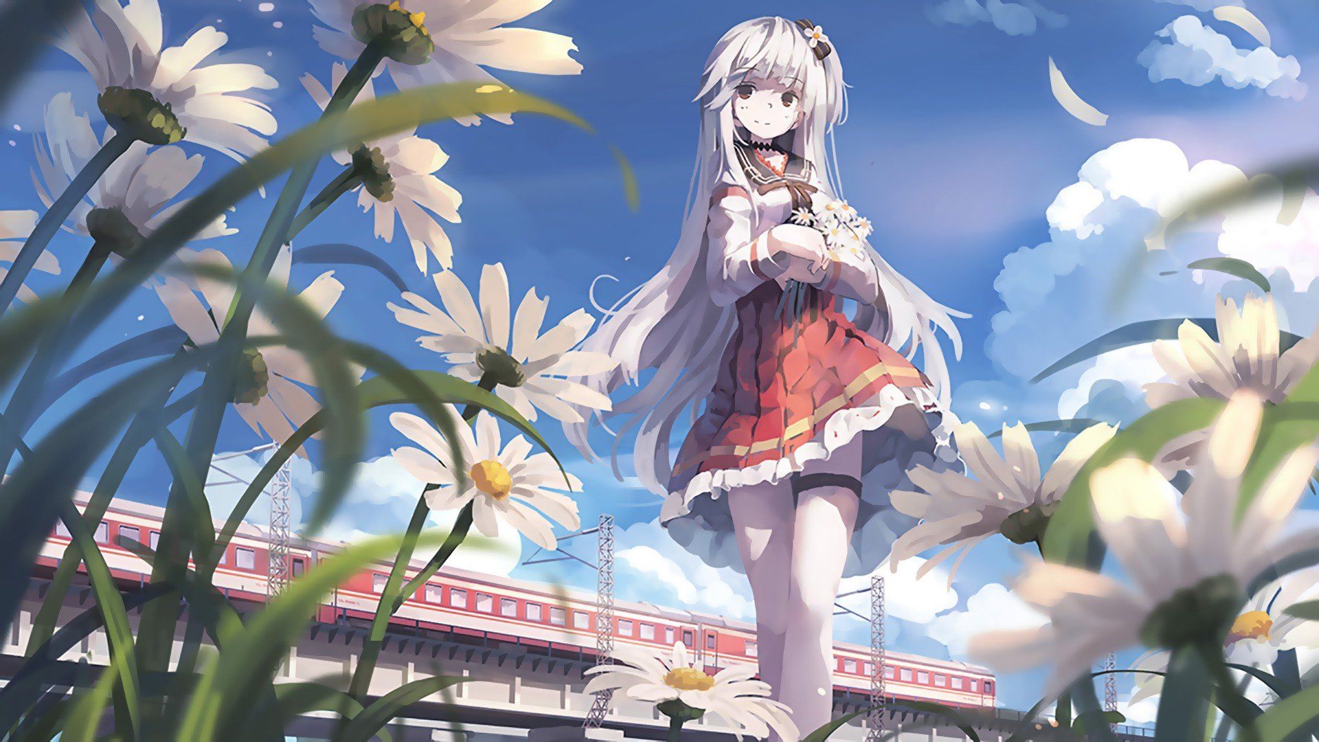 white hair, Long hair, Anime, Landscape, Blossoms, Train, Anime