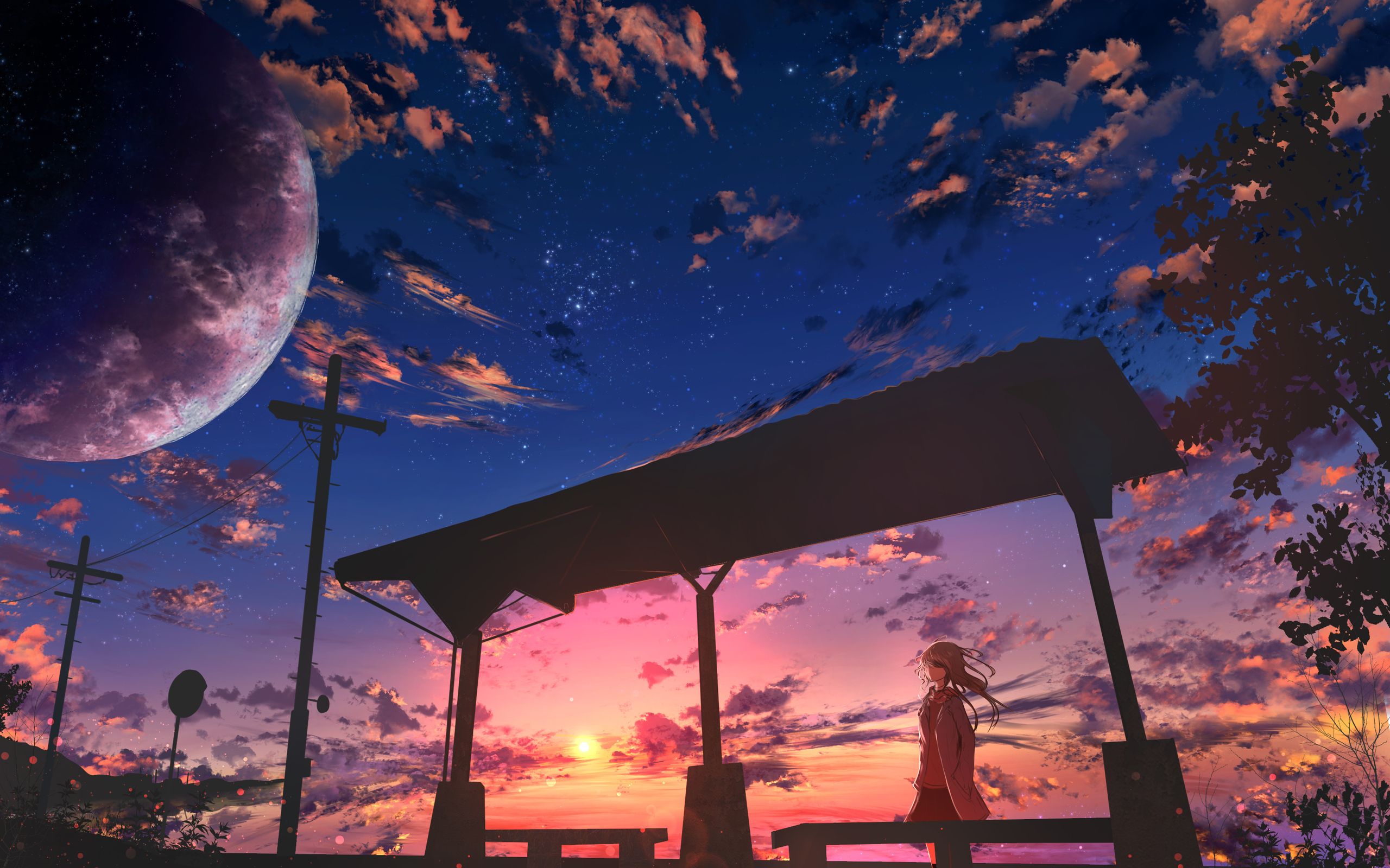 Starry Sky Anime Girl 2560x1600 Resolution HD 4k
