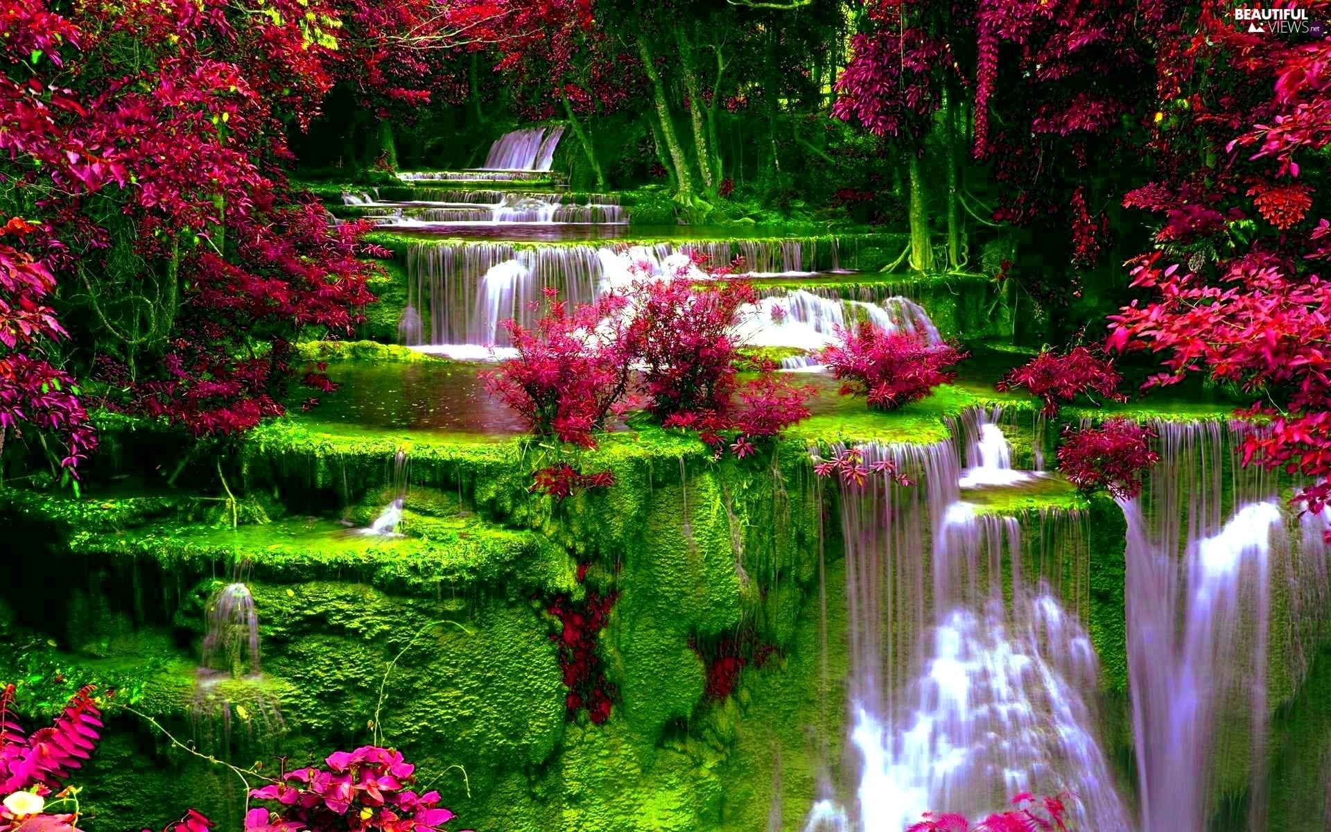 Waterfall Flowers Wallpapers - Wallpaper Cave