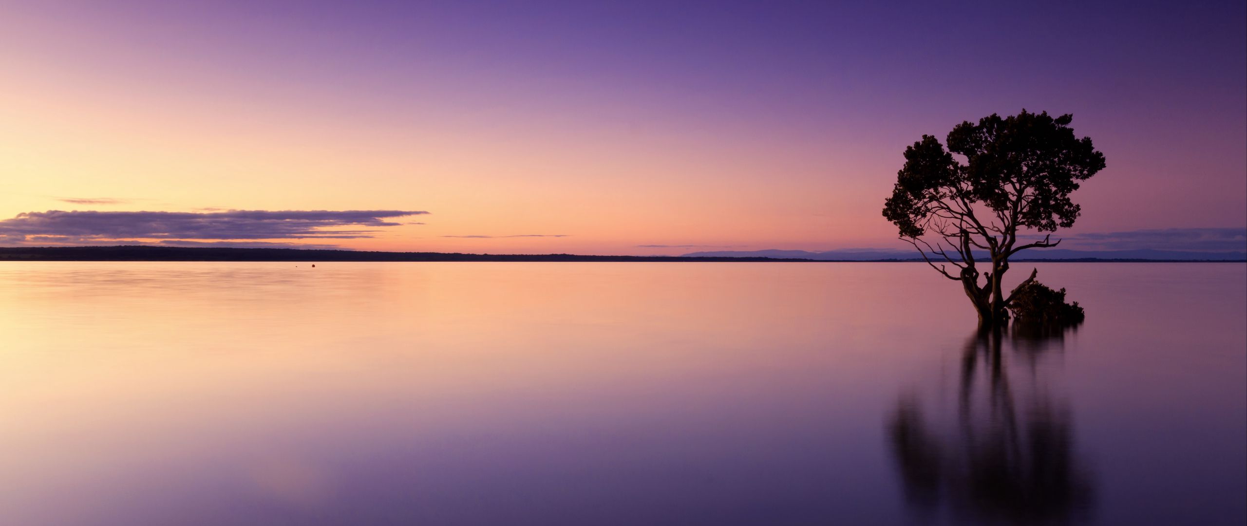Download wallpaper 2560x1080 sunset, tree, lake, sky, water