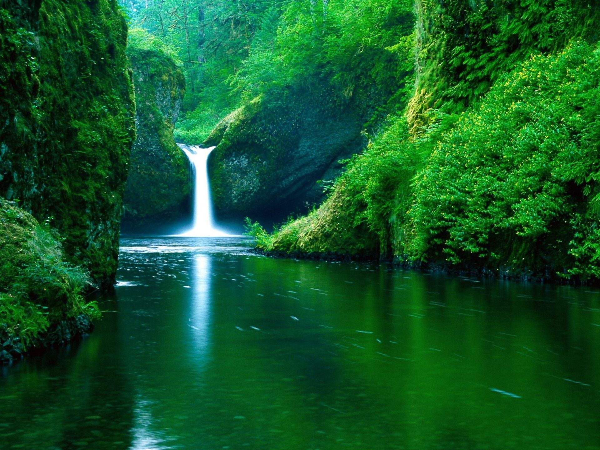 Earth Waterfall Forest Water Green Earth Wallpaper. Waterfall
