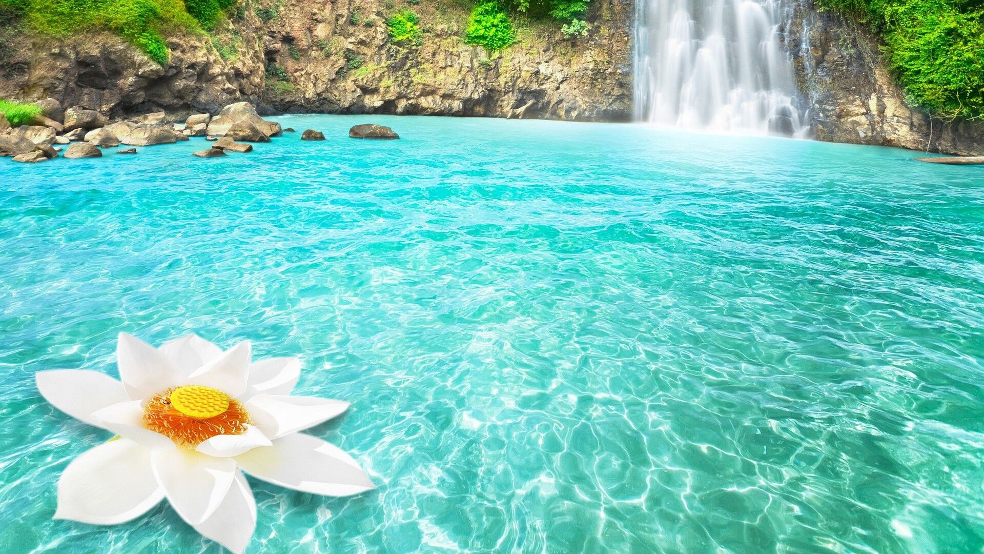 Waterfall Flowers Laptop Full HD 1080P HD 4k Wallpaper