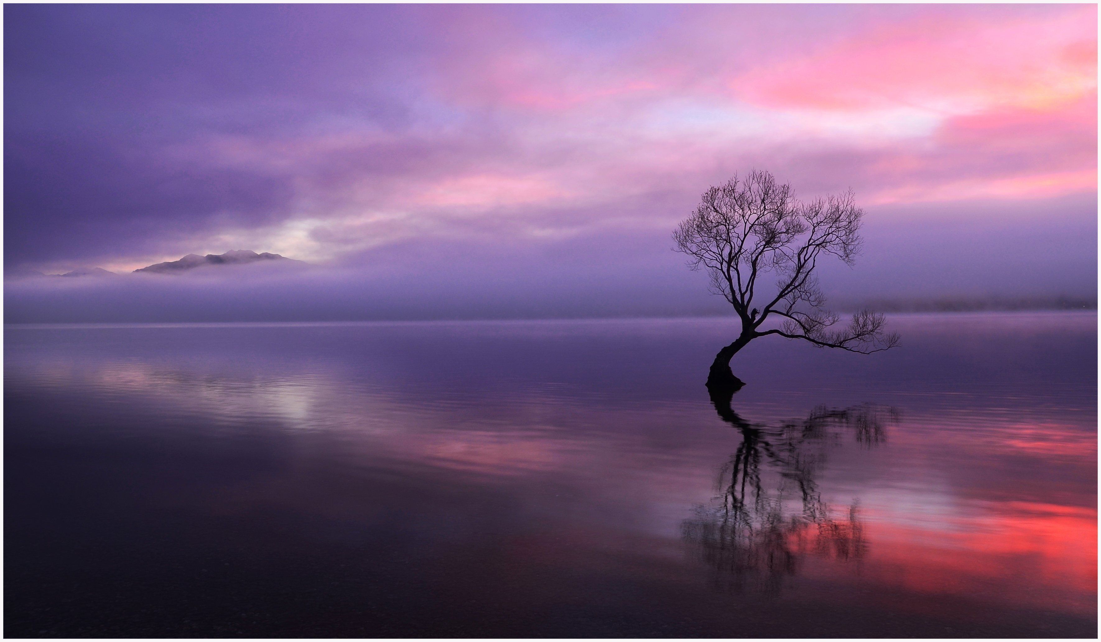 Tree sunset lake evening bokeh mood wallpaperx2064