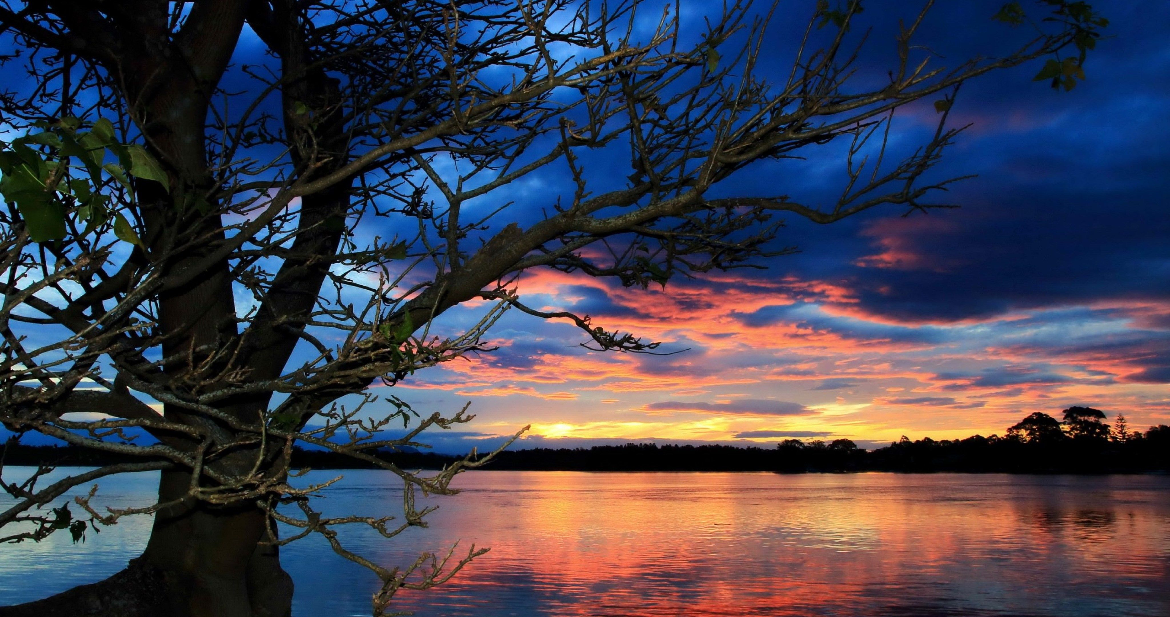 sunset lake and tree 4k ultra HD wallpaper High quality walls