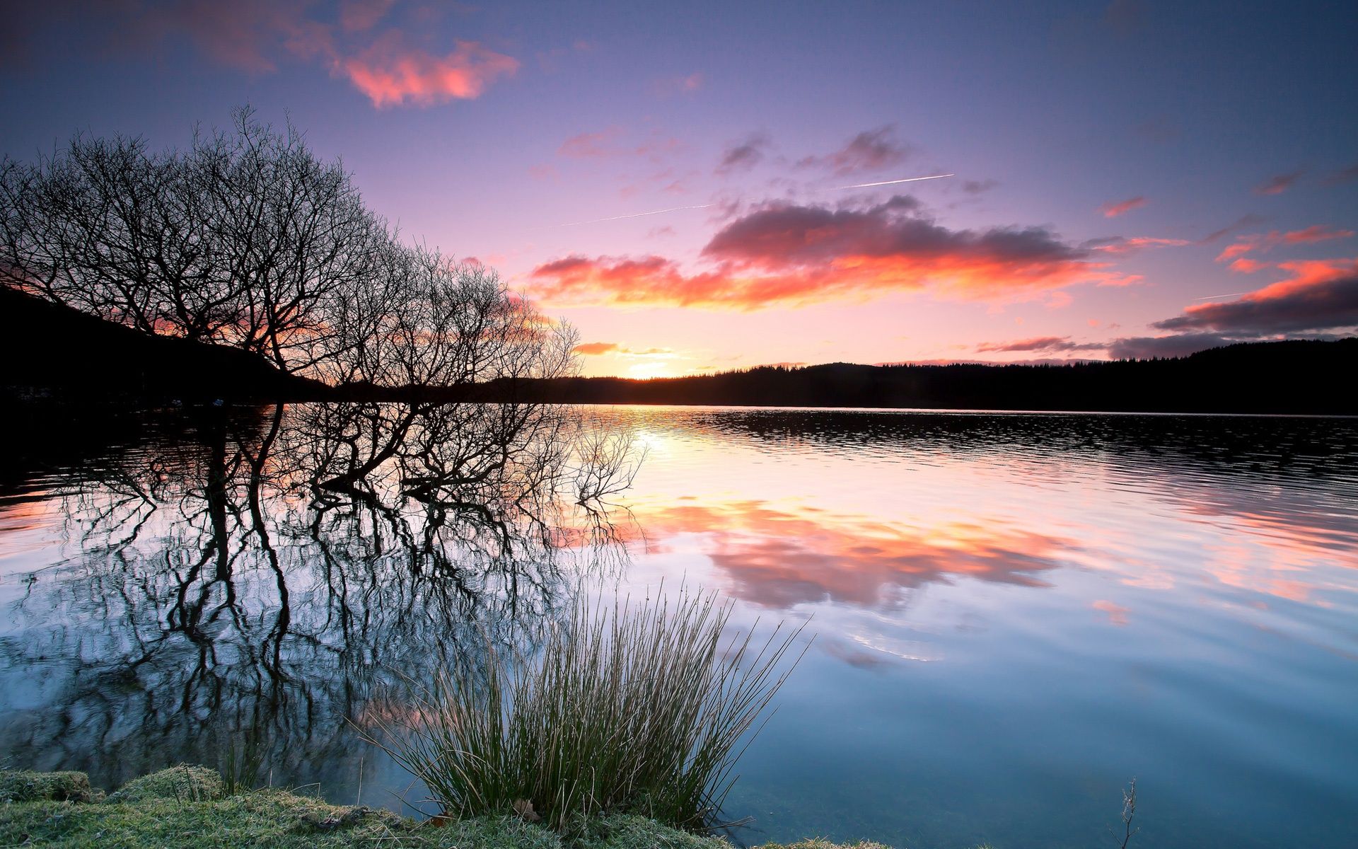 Wallpaper Trees, lake, water reflection, sunset, twilight