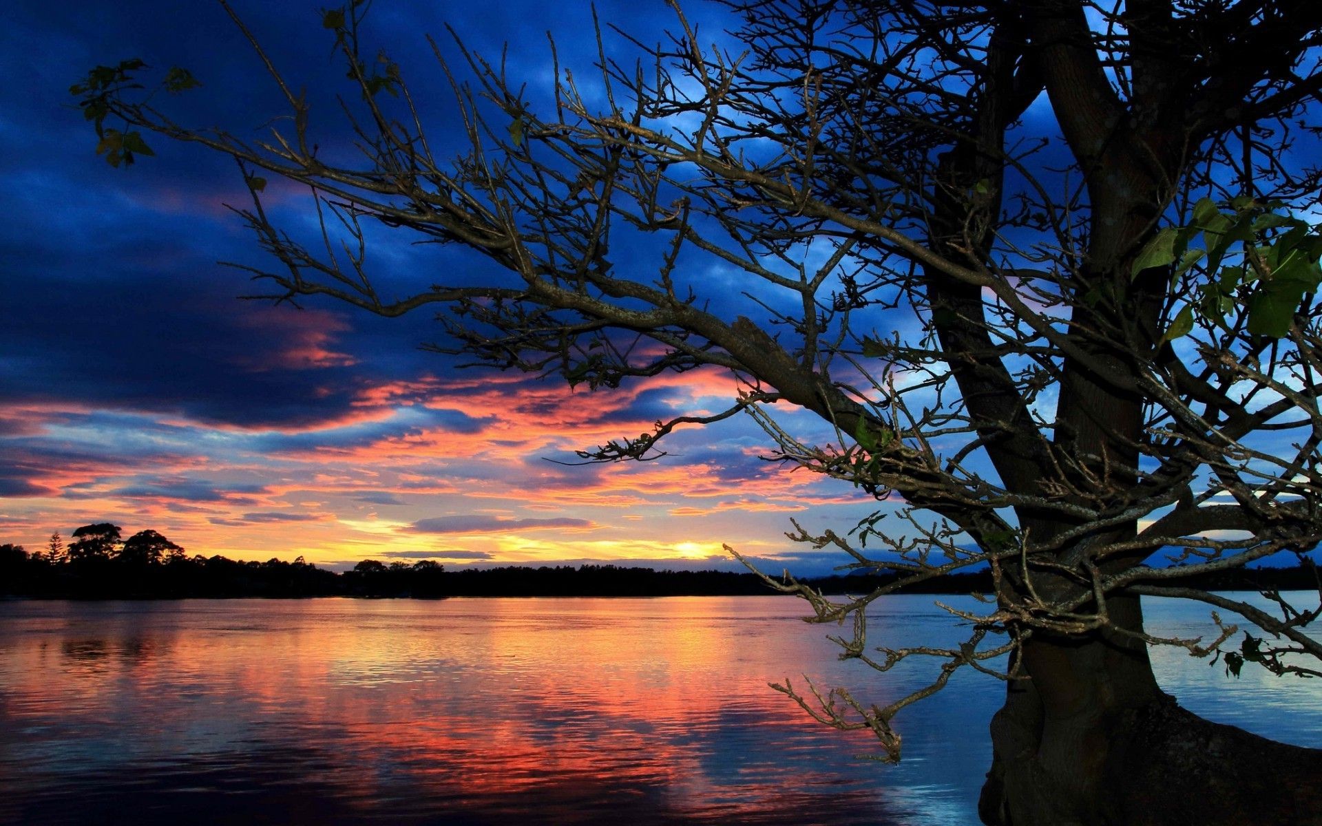 sunset, Trees, Lake Wallpaper HD / Desktop and Mobile Background