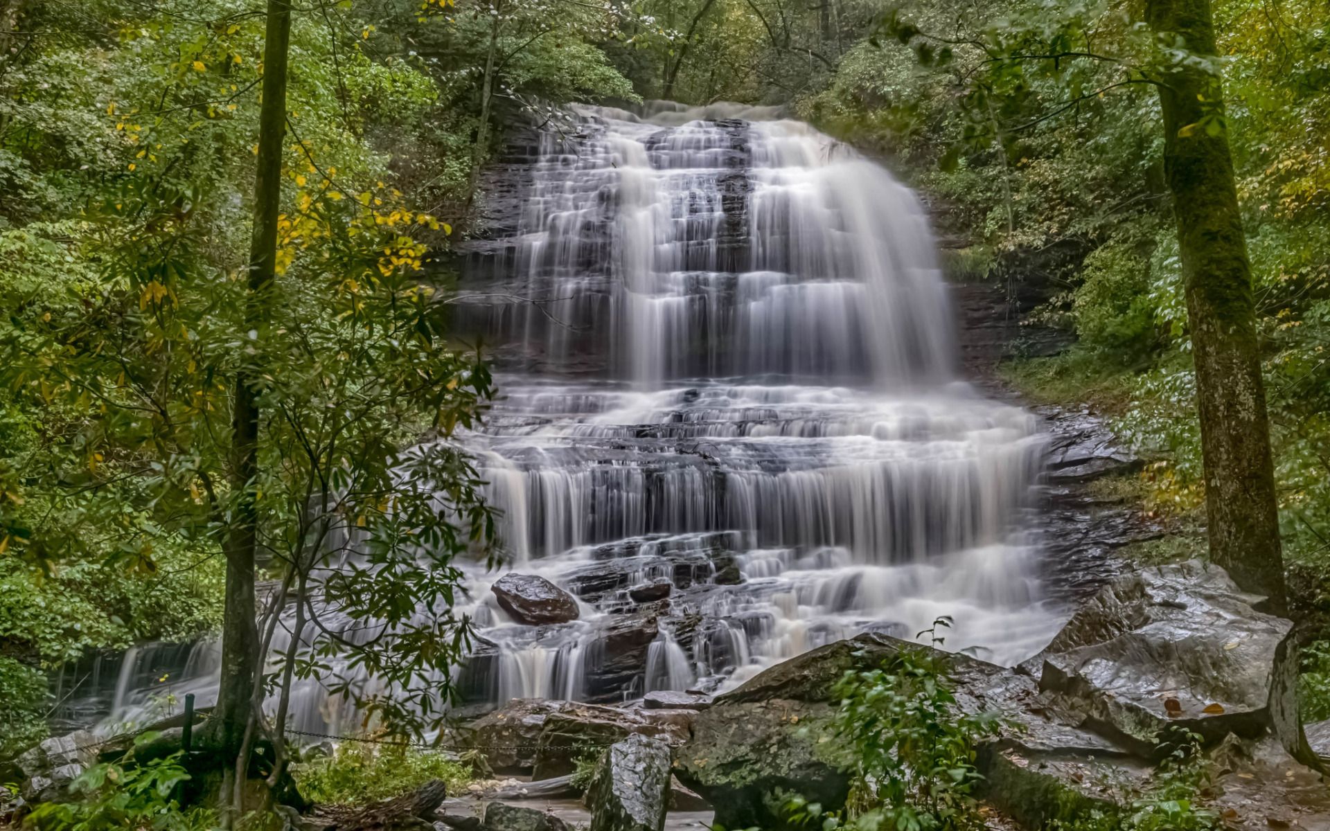 Download wallpaper beautiful forest waterfall, wildlife, secret