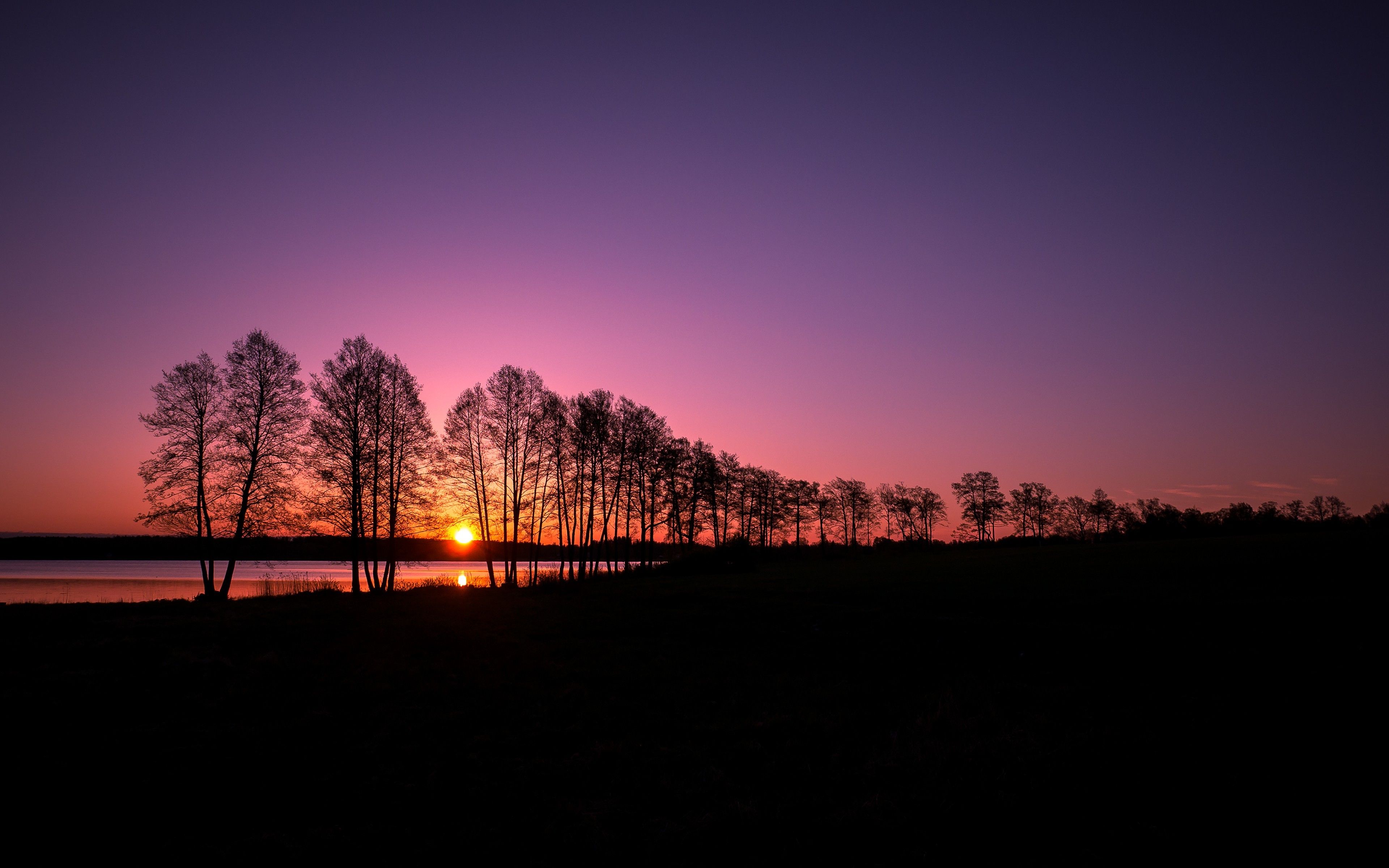 landscape, Nature, Silhouette, Trees, Clear Sky, Sunset, Evening