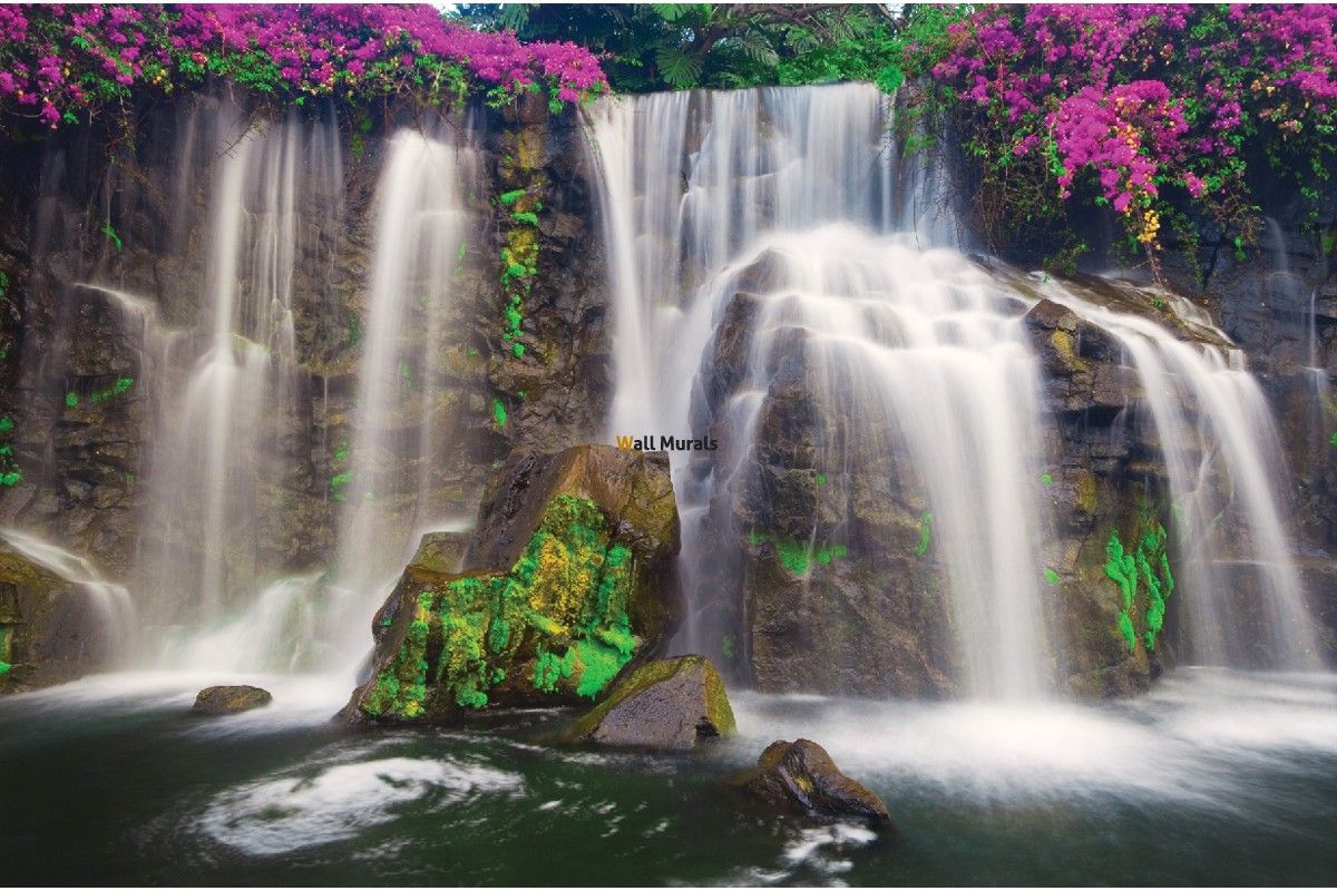 Waterfall Flowers Wallpapers Wallpaper Cave