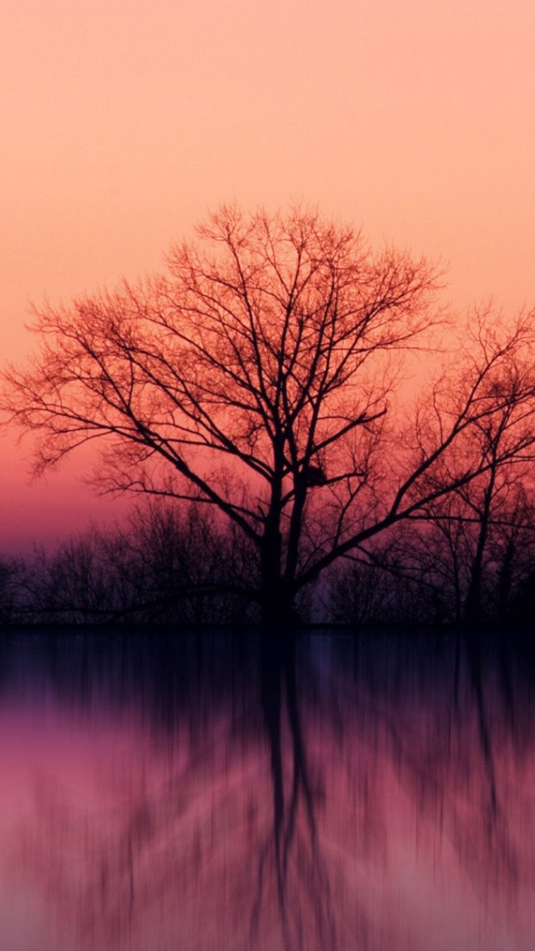 Stillness Calm Lake Sunset Landscape iPhone 8 Wallpaper Free Download
