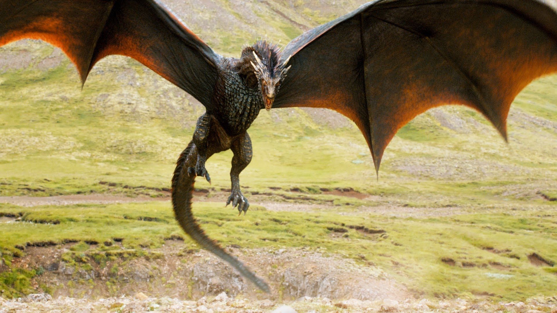 game of thrones dragons wallpaper