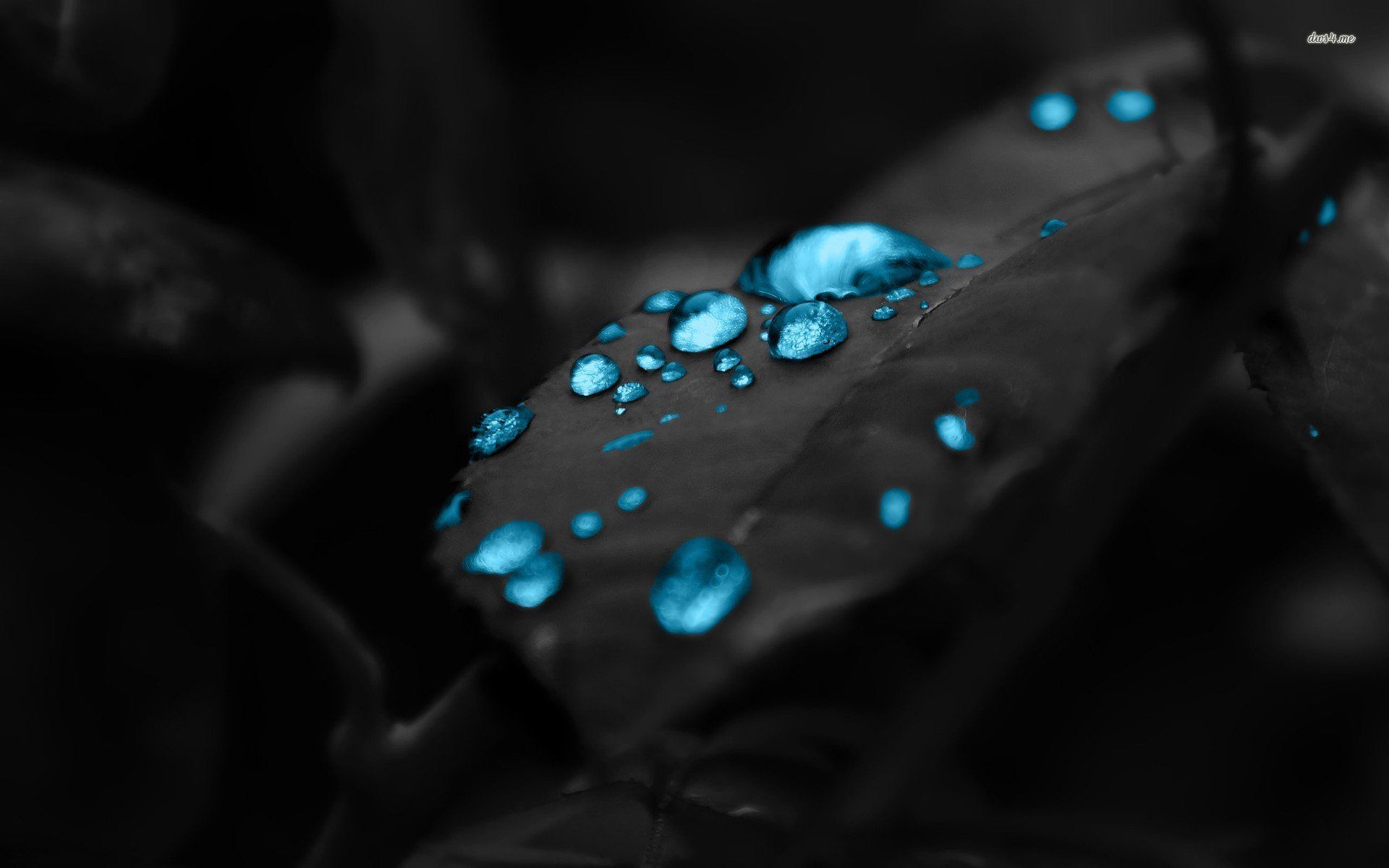 Dark Blue Water Drop On Black Surface HD wallpaper