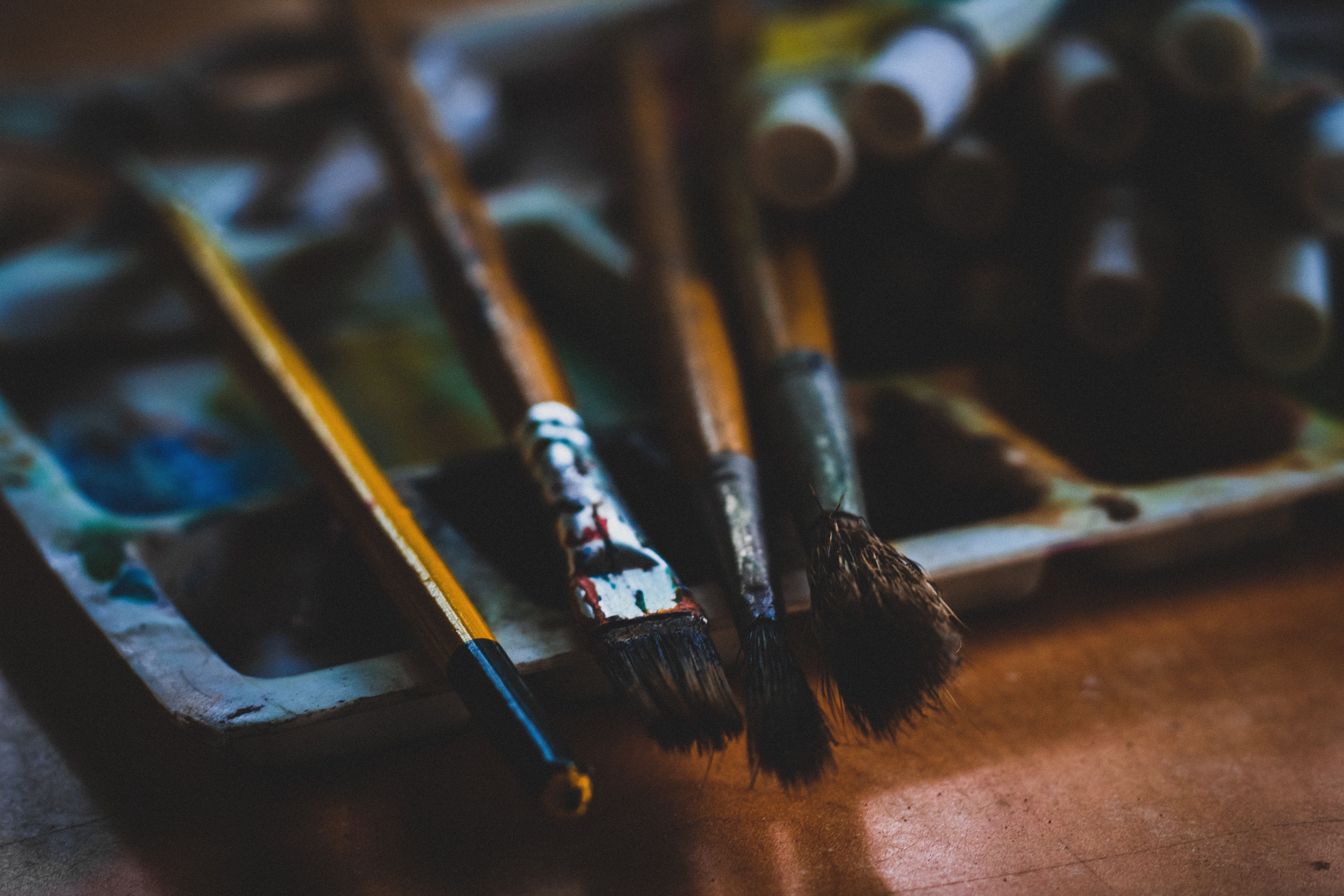 Four Paint Brushes in Macro Photography · Free