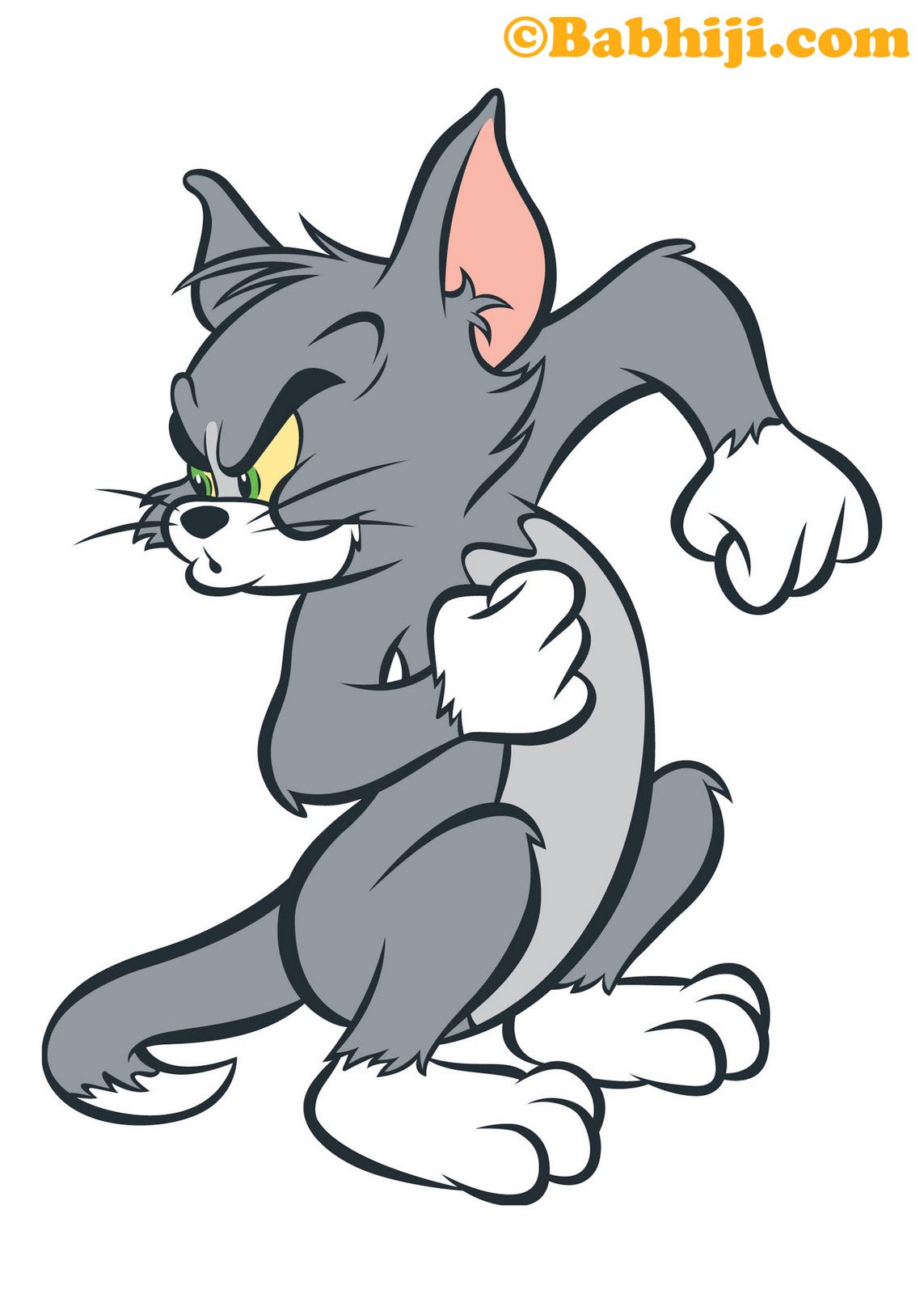 Tom Jerry Picture: 02