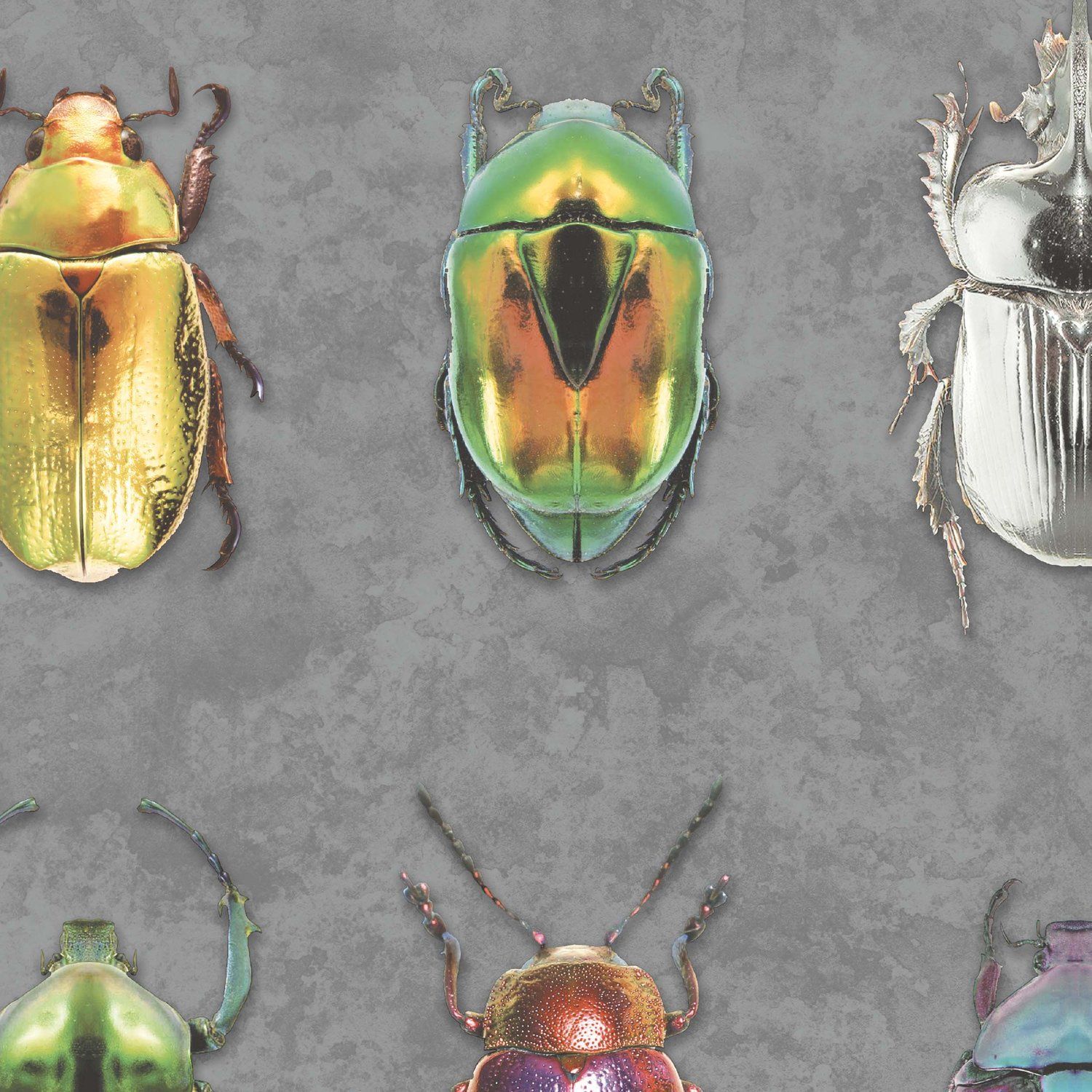 Beetle Jewels Multi Wallpaper. Quirky wallpaper