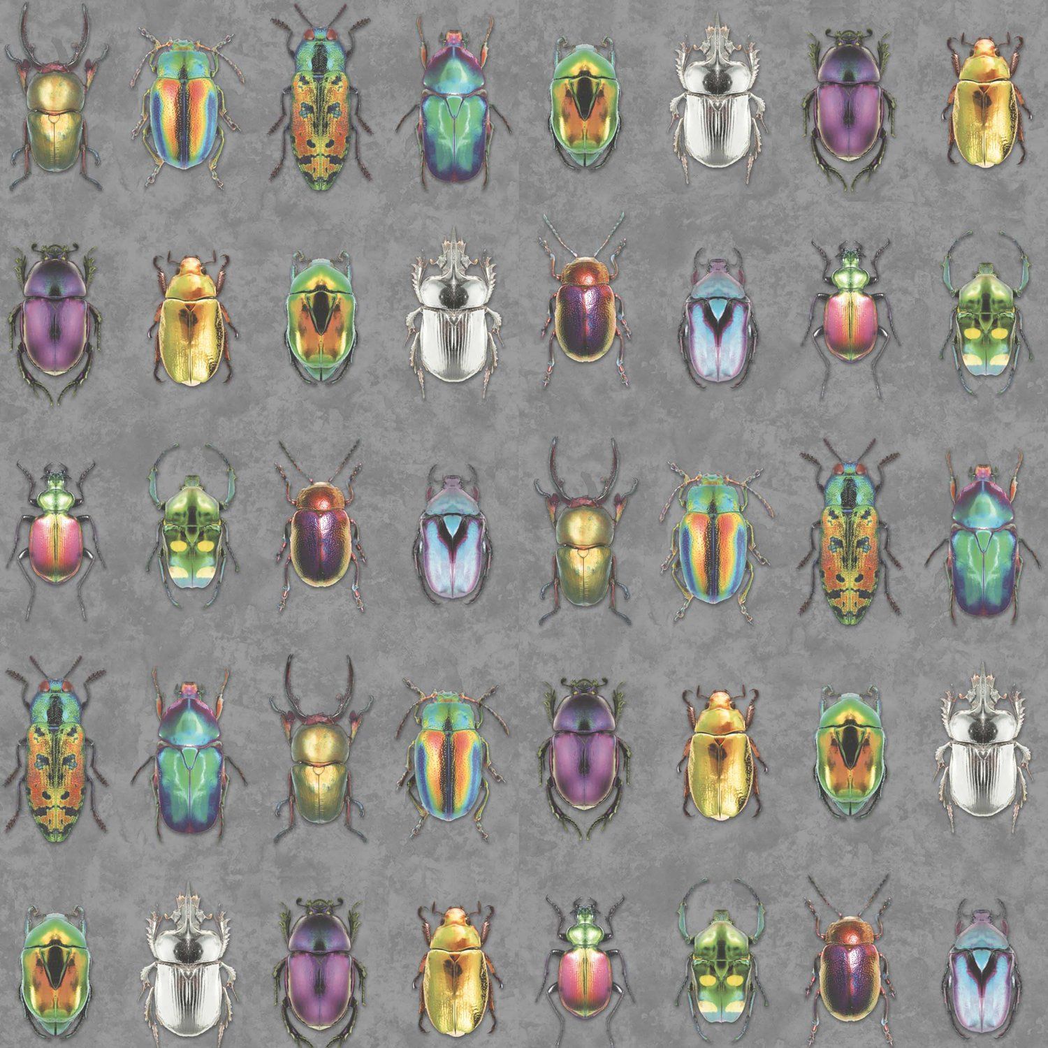 Beetle Jewels Multi Wallpaper. Mural wallpaper, Bird wallpaper