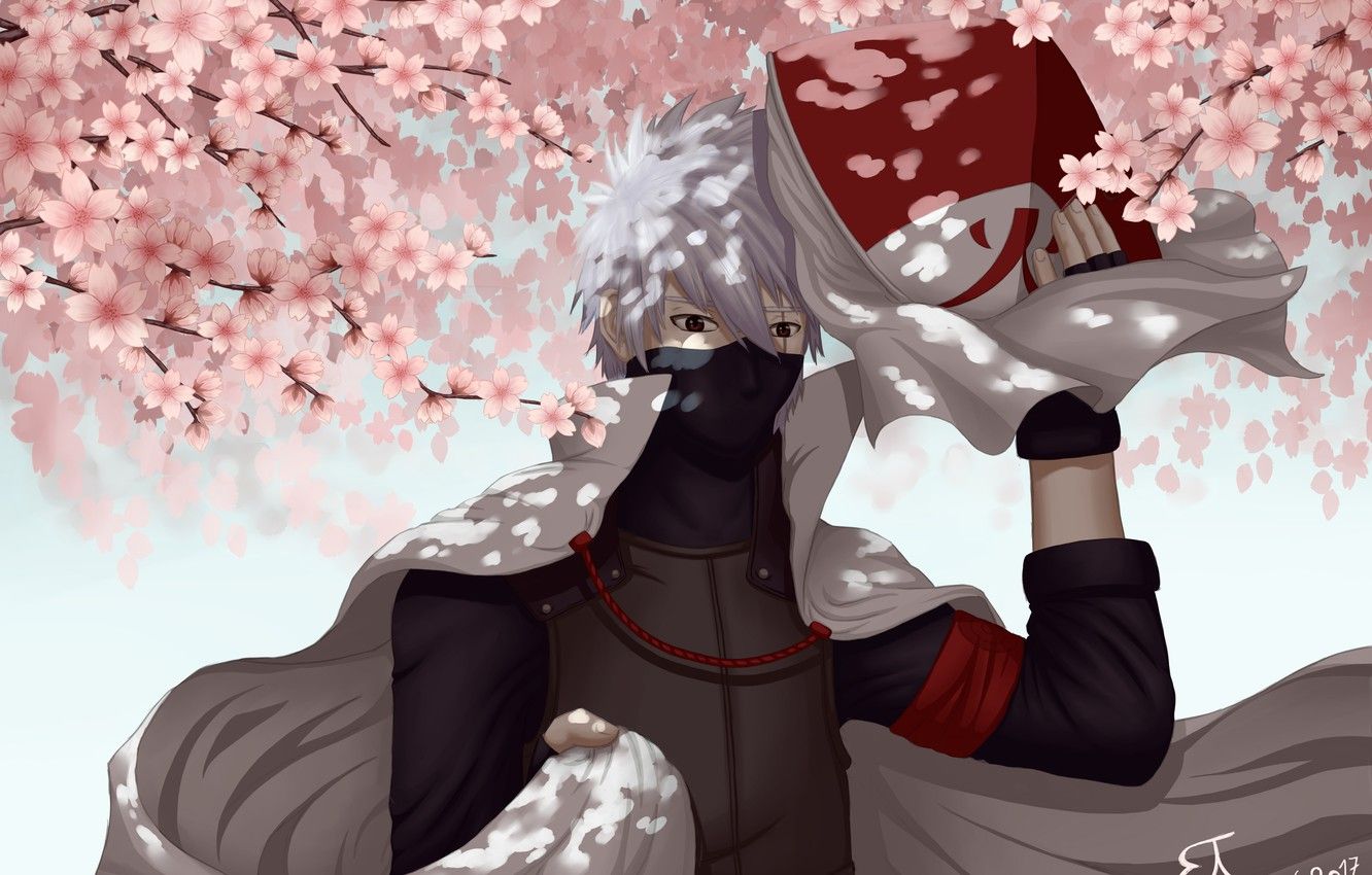 Photo Wallpaper Sakura, Flowering, Naruto, Art, Hatake