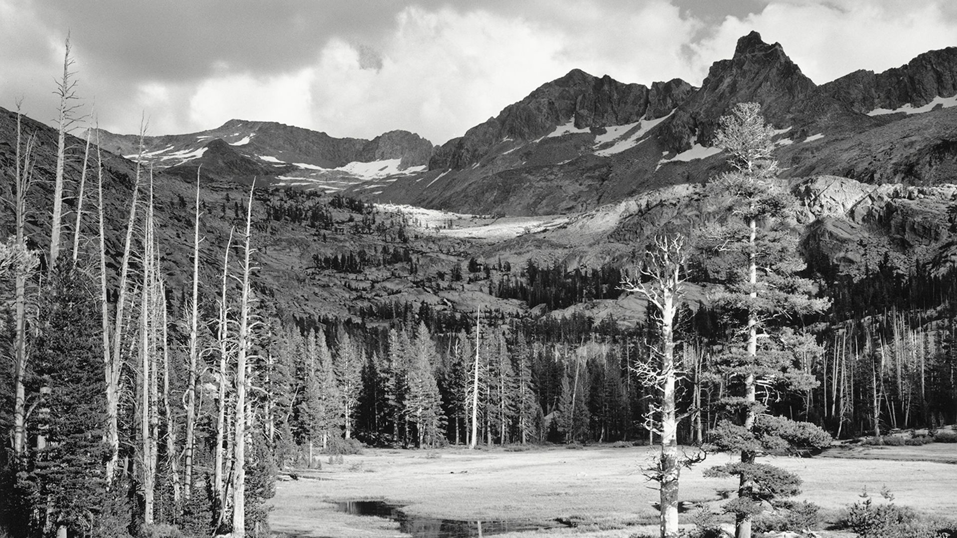 Ansel Adams captures Yosemite's breathtaking beauty