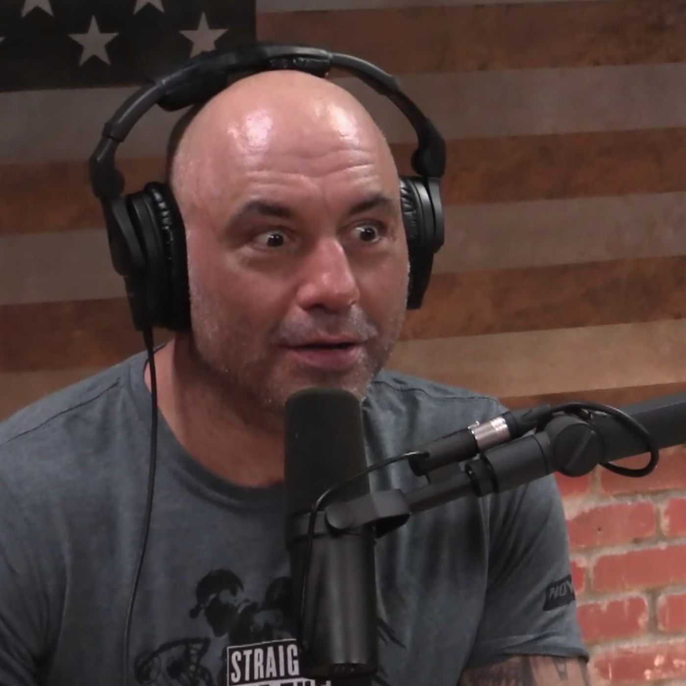 This AI Generated Joe Rogan Fake Has To Be Heard To Be Believed