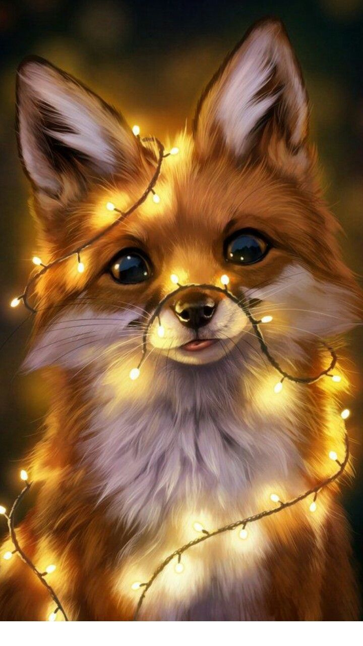 Cute Fox Phone Wallpapers Wallpaper Cave