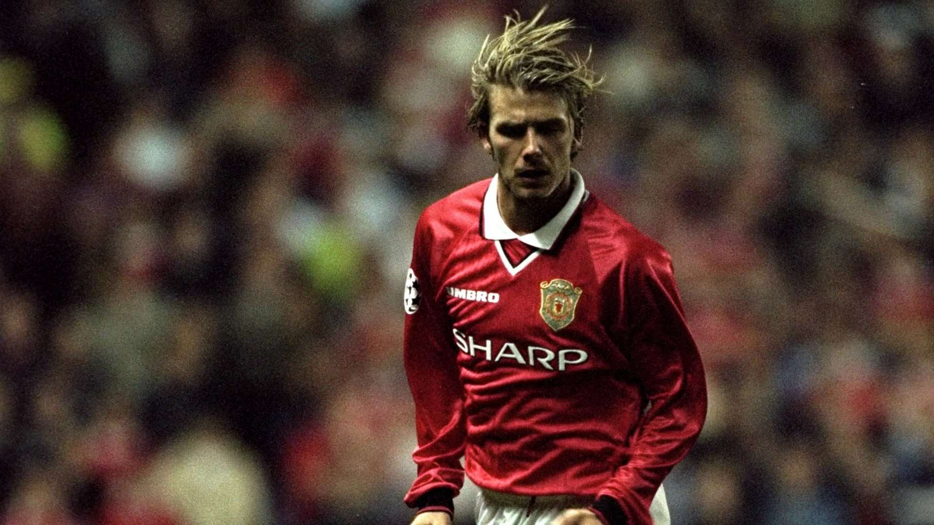David Beckham Manchester United Wallpapers - Wallpaper Cave