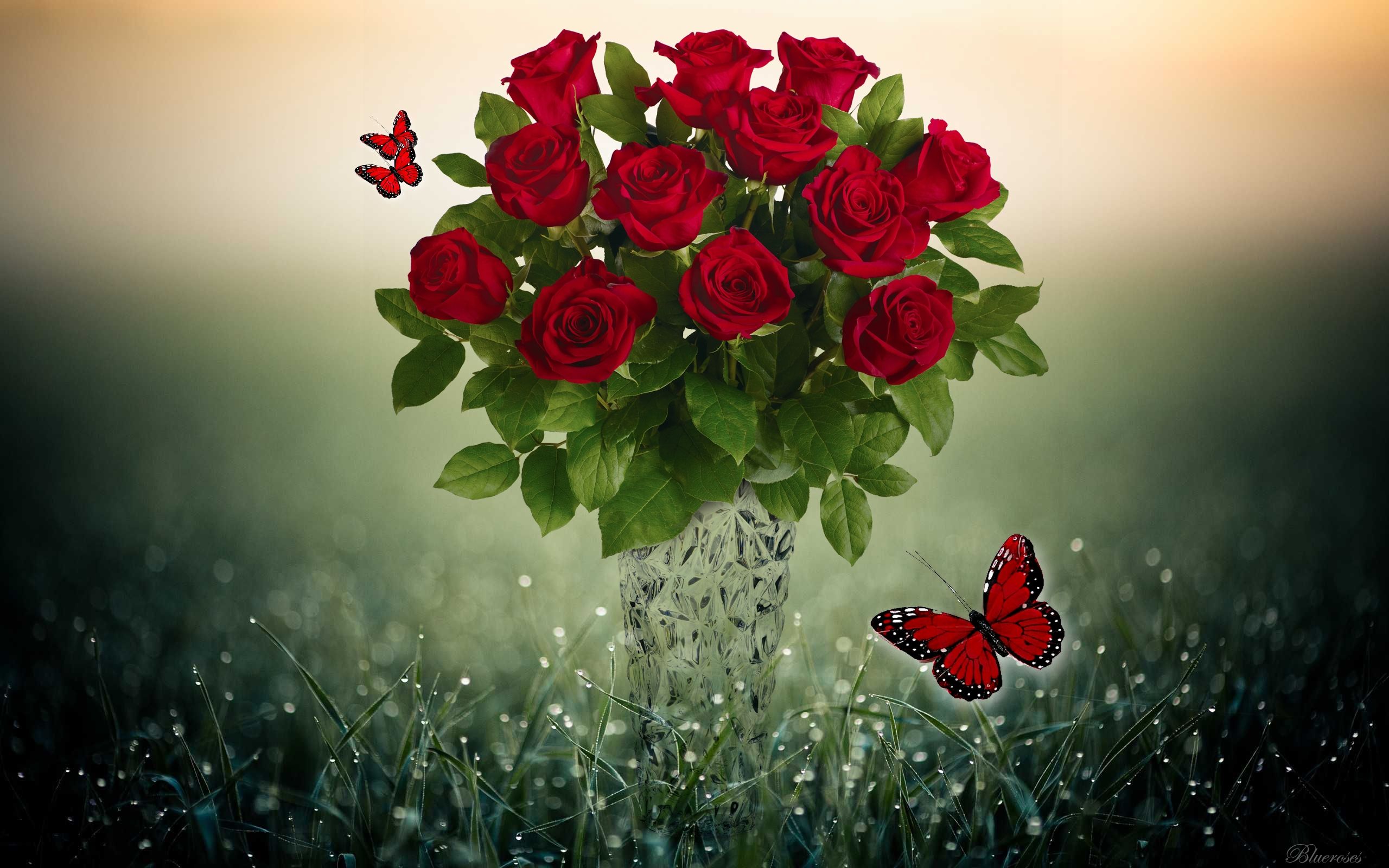 Red Roses and Butterflies HD Wallpaper