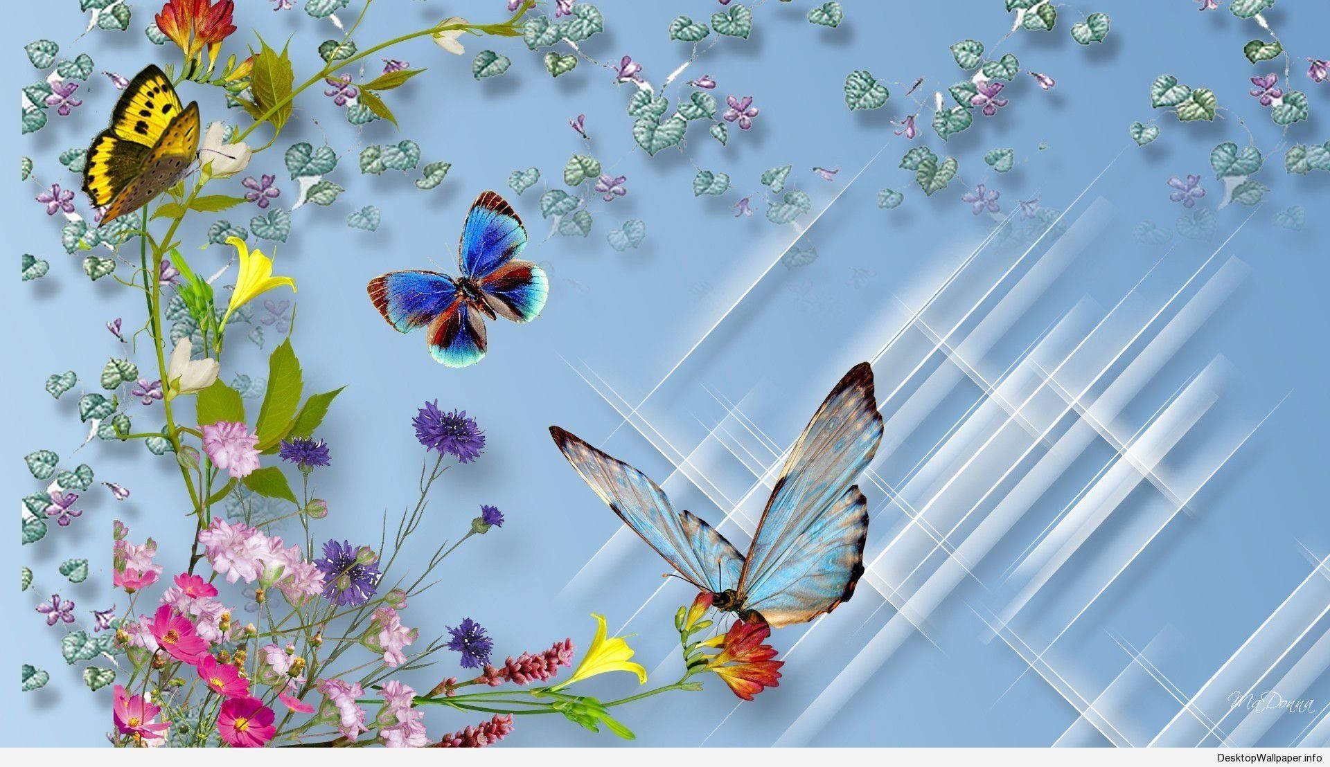 Wallpaper Of Butterfly Download