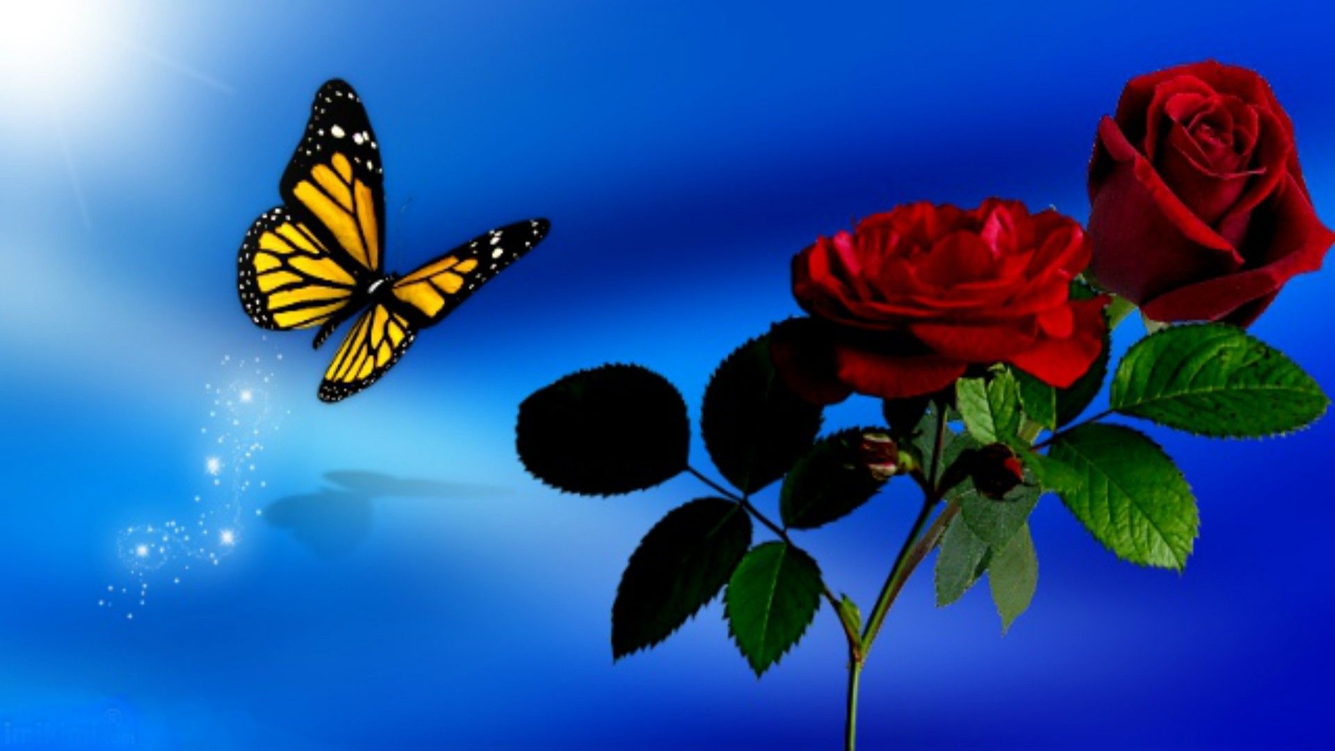 Butterfly Sky Spring Blue Roses Red Flowers Wallpaper
