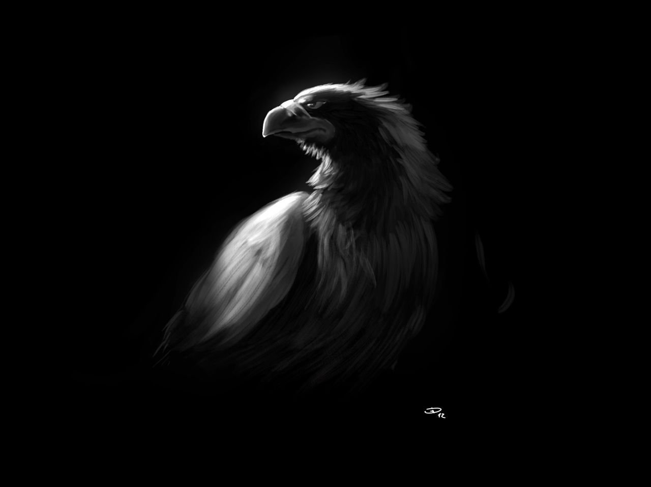 eagle black and white wallpaper