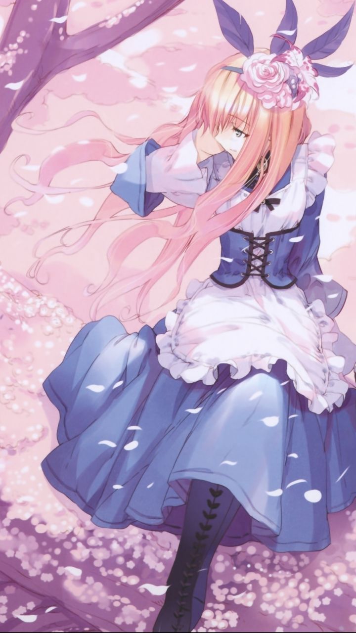 Anime Alice In Wonderland (720x1280) Wallpaper