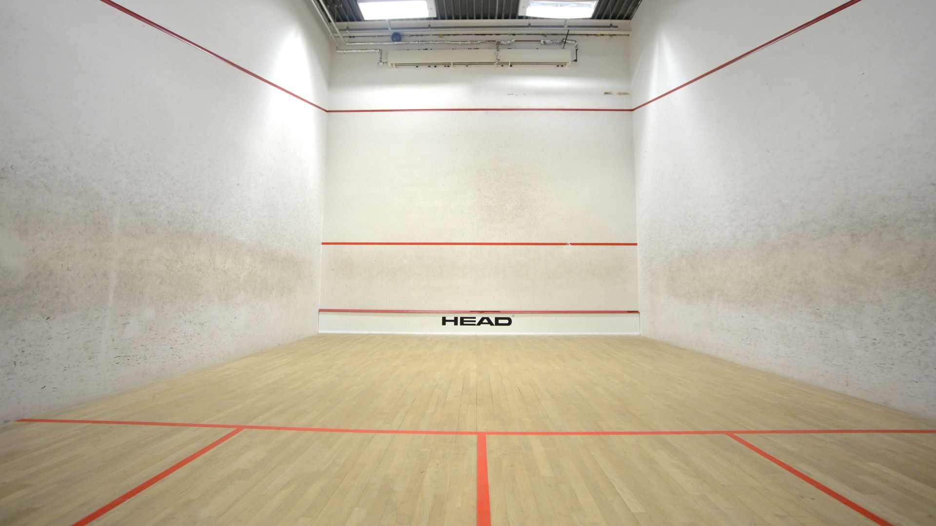 crossline: Squash Sport Wallpaper
