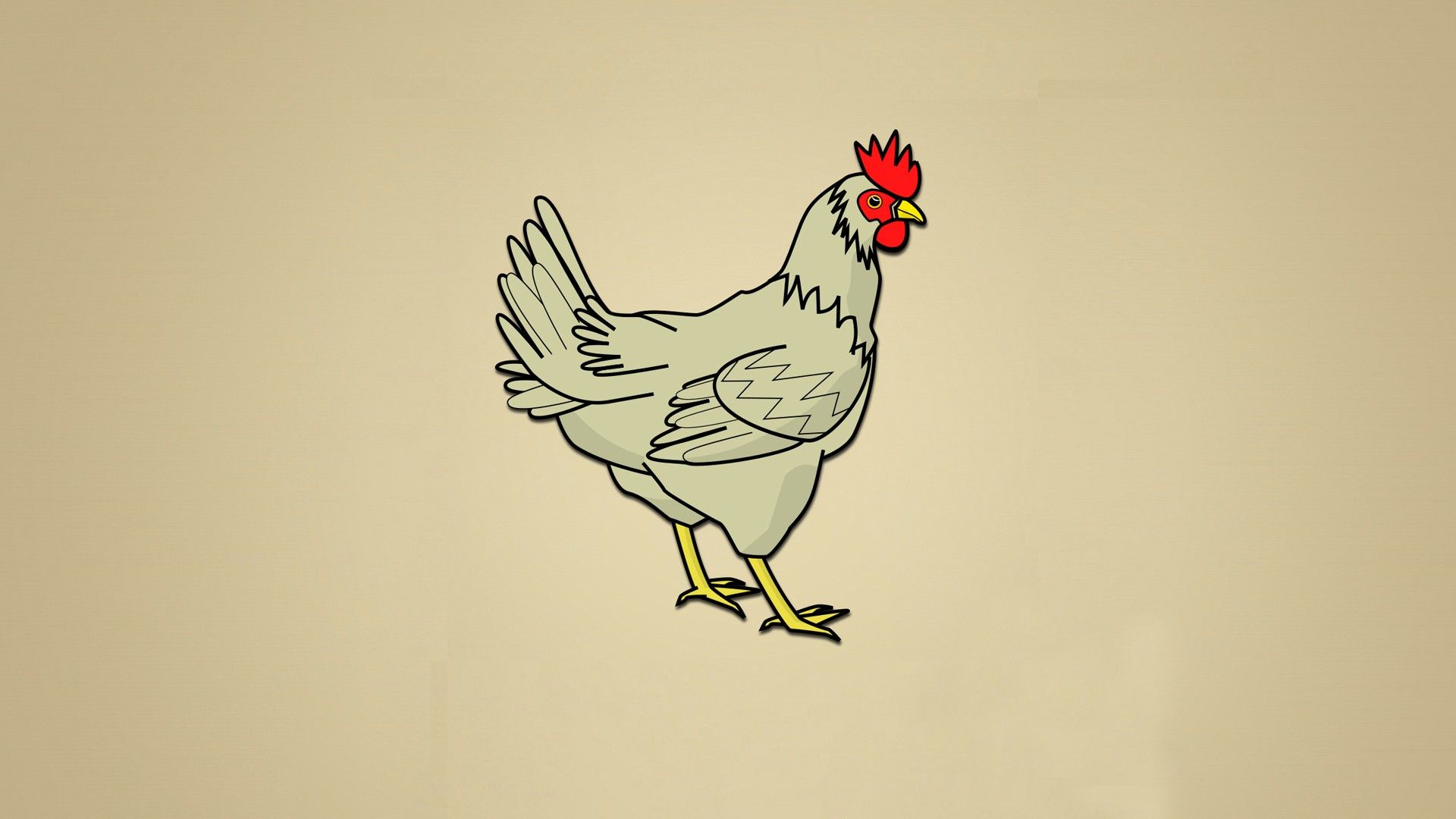 Chicken Background HD Wallpaper 29038