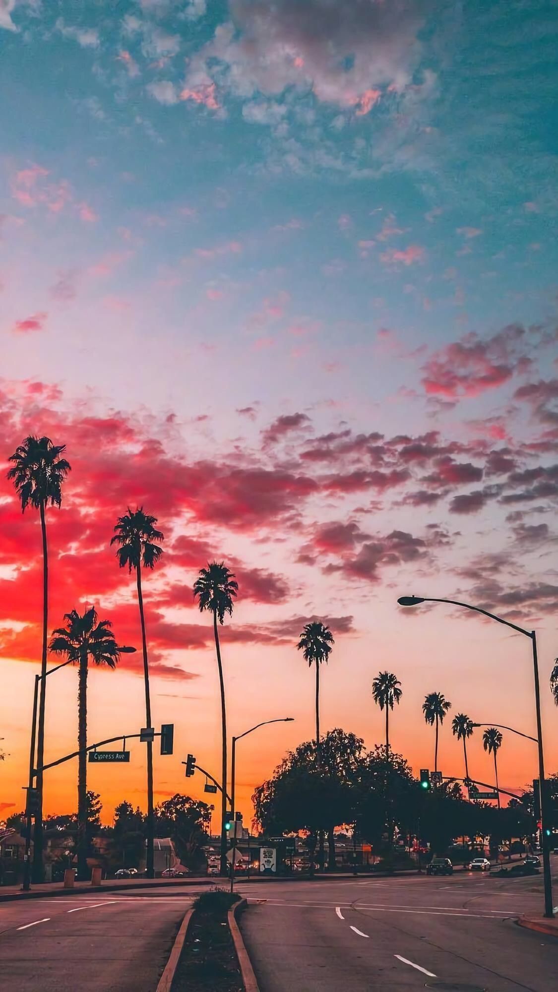pink sunset, exuberant palm trees in the city for your backgrounds