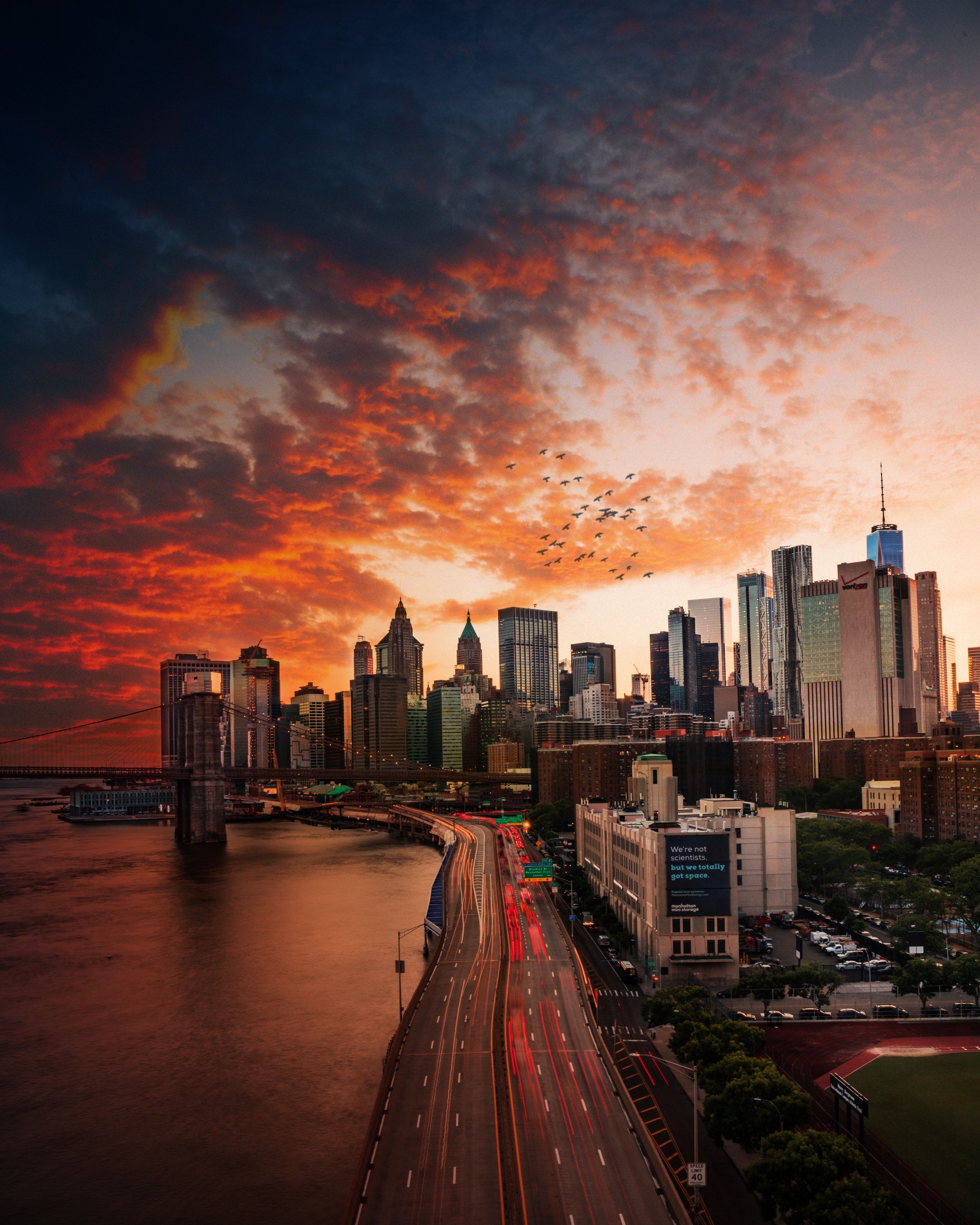 Places bird, dark sunset, new york city, sunset