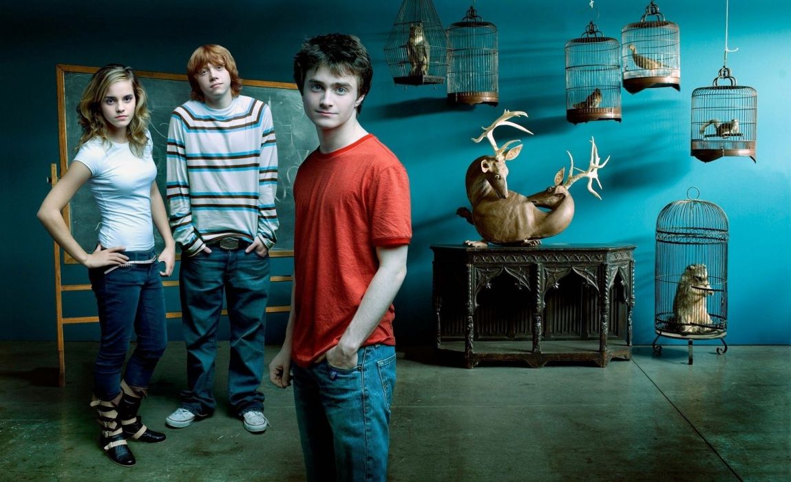 Harry Potter Daniel Radcliffe Emma Watson Rupert Grint Movies