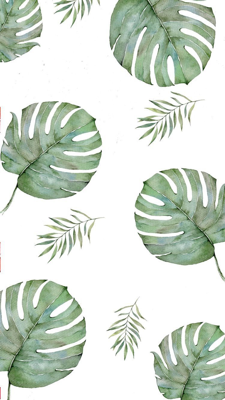 Plantas Leaves Wallpaper iPhone, Simple iPhone Wallpaper