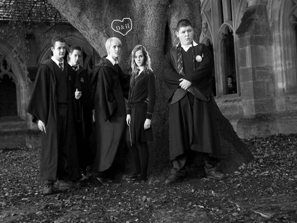 Draco and Hermione. Dramione, Draco and hermione, Draco