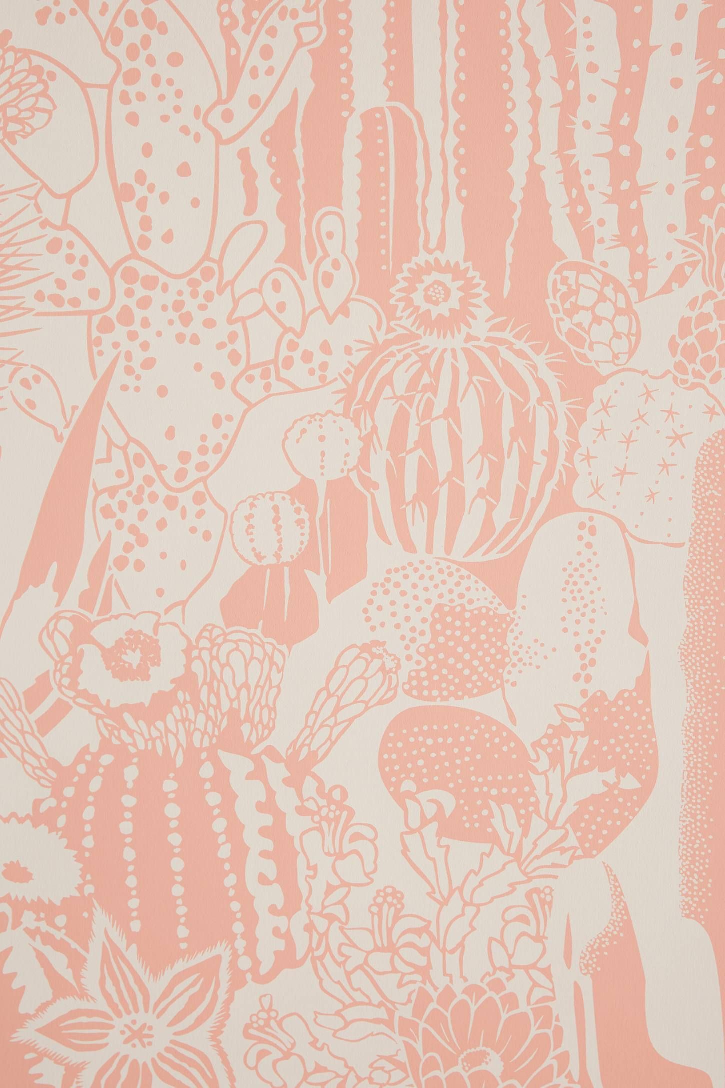 Cactus Spirit Wallpaper