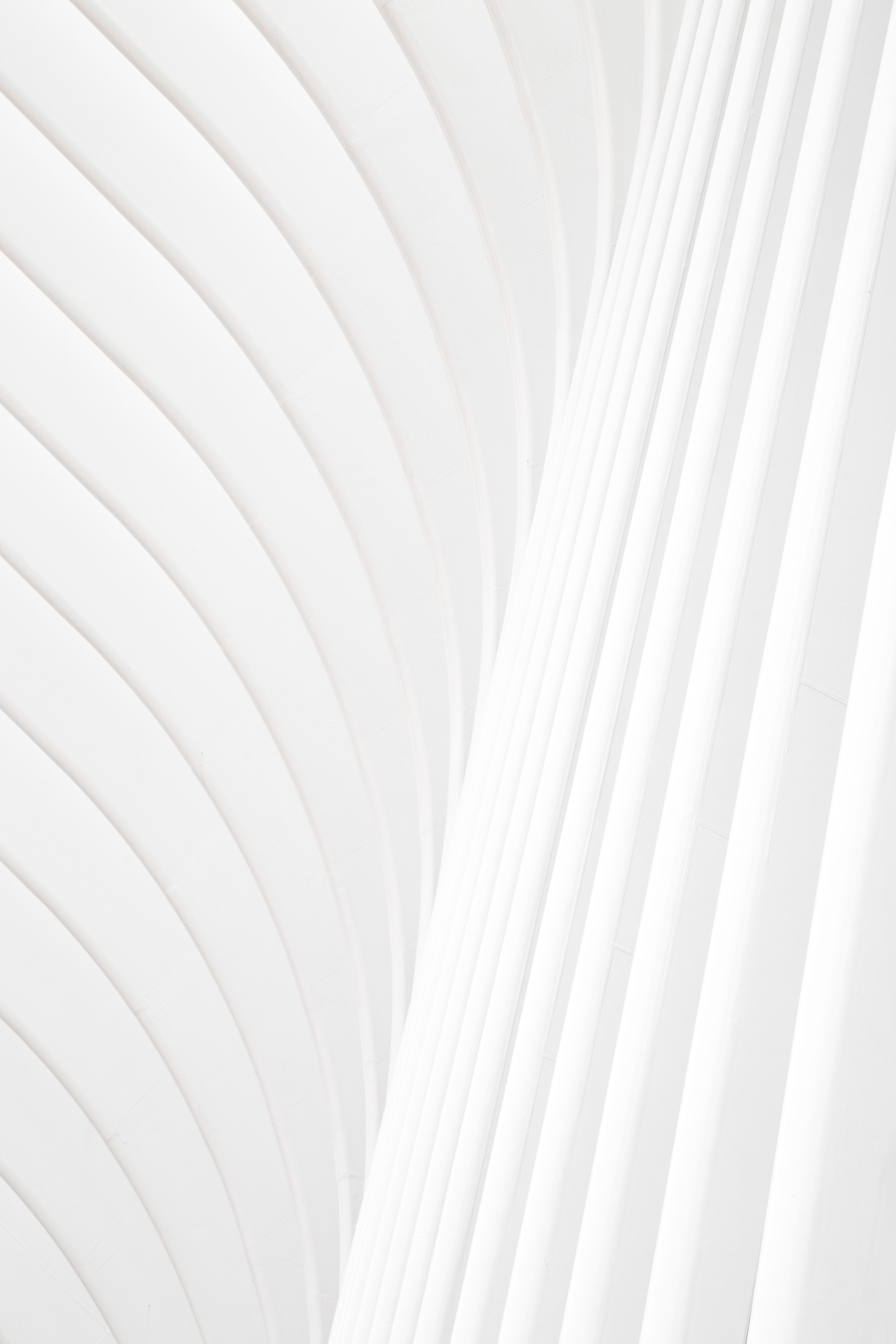 Pure White Wallpaper 4k Here Are Only The Best Pure W - vrogue.co