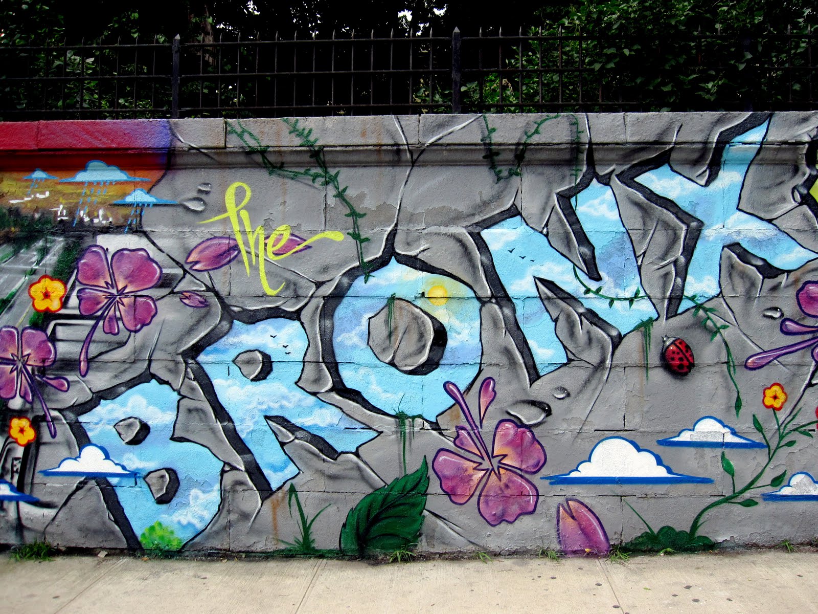 The Bronx Wallpaper Free The Bronx Background